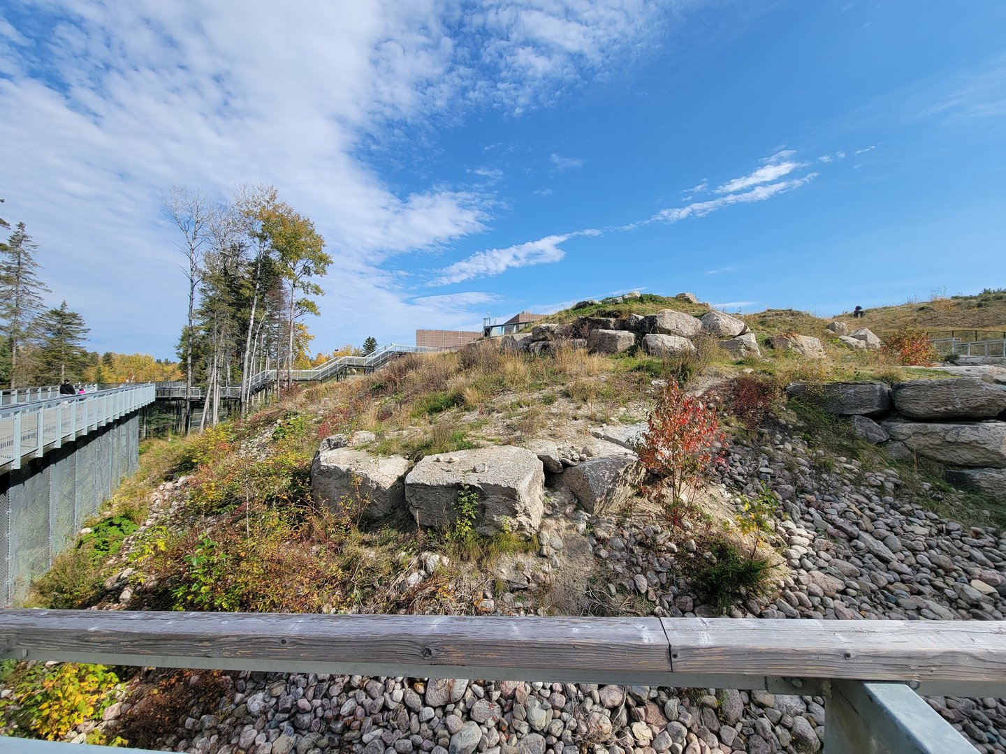 Zoo Sauvage 10/22 - Arctic Tundra, polar bear / arctic fox exhibit #2