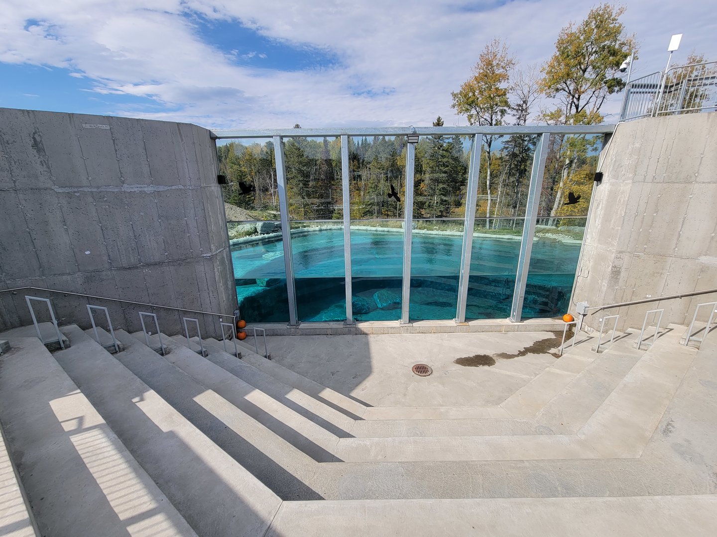 Zoo Sauvage 10/22 - Arctic Tundra, polar bear / arctic fox exhibit #2