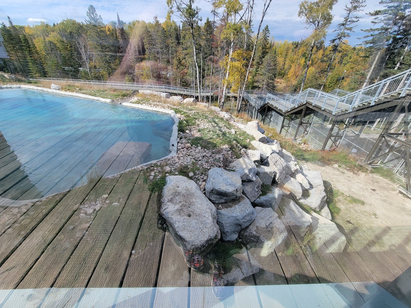 Zoo Sauvage 10/22 - Arctic Tundra, polar bear / arctic fox exhibit #2