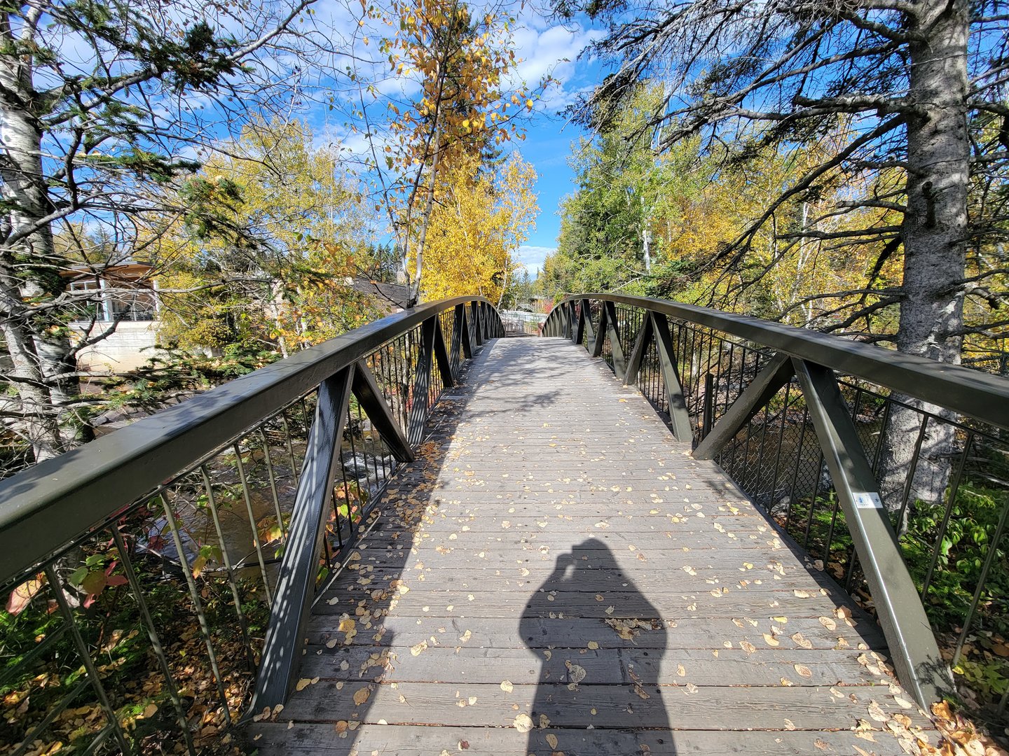 Zoo Sauvage 10/22 - Bridge to Asia, train