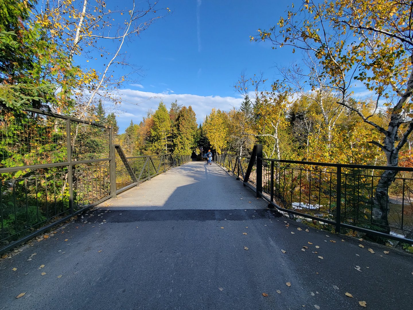 Zoo Sauvage 10/22 -  Bridge to Laurentian Forest
