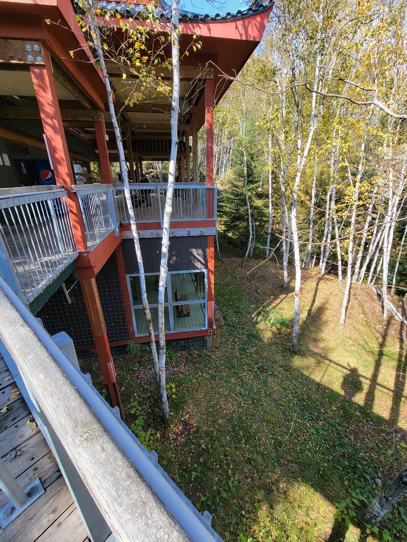Zoo Sauvage 10/22 - Eastern Asia, Amur tiger exhibit viewing platforms