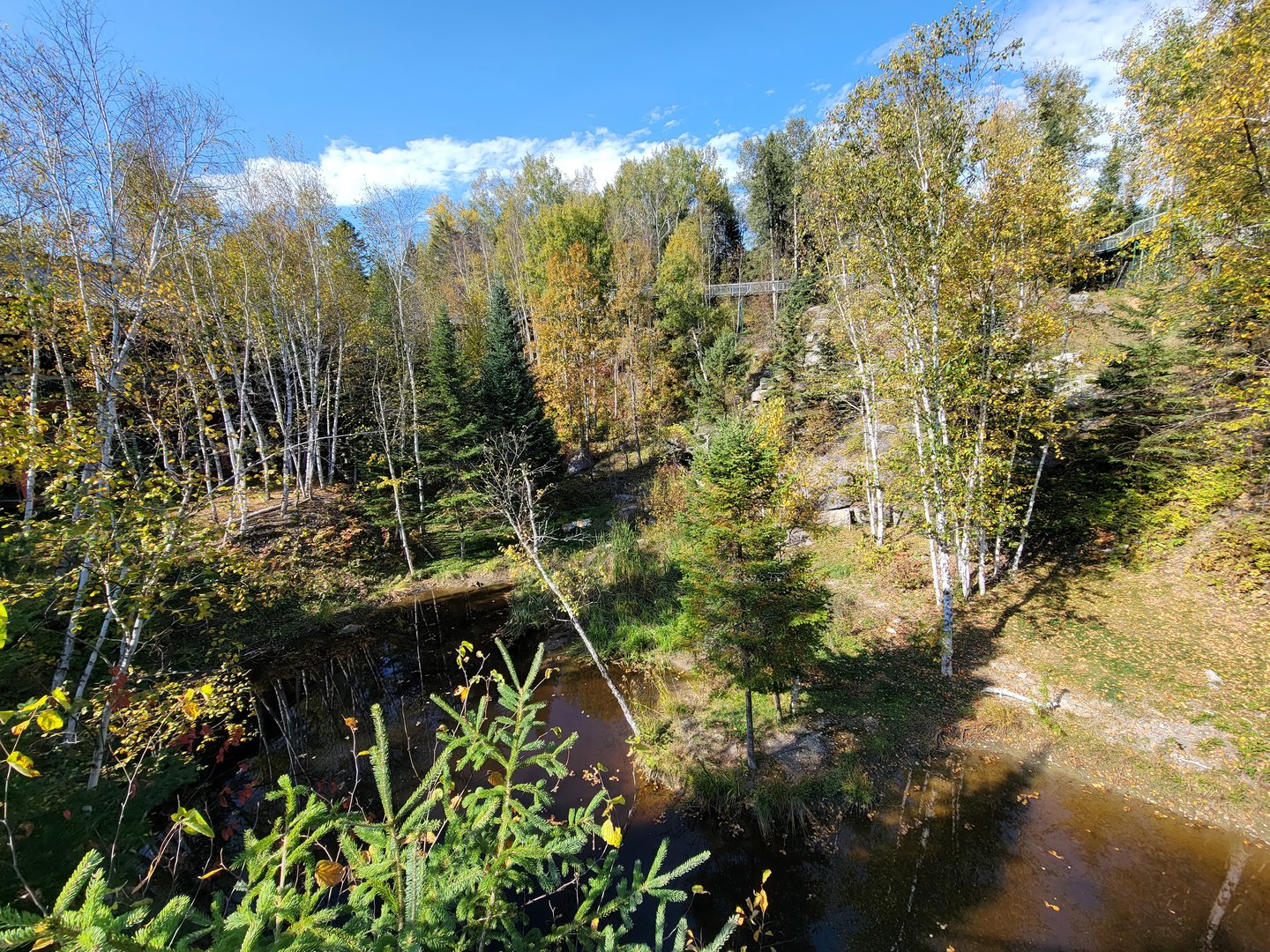 Zoo Sauvage 10/22 - Eastern Asia, Amur tiger exhibit