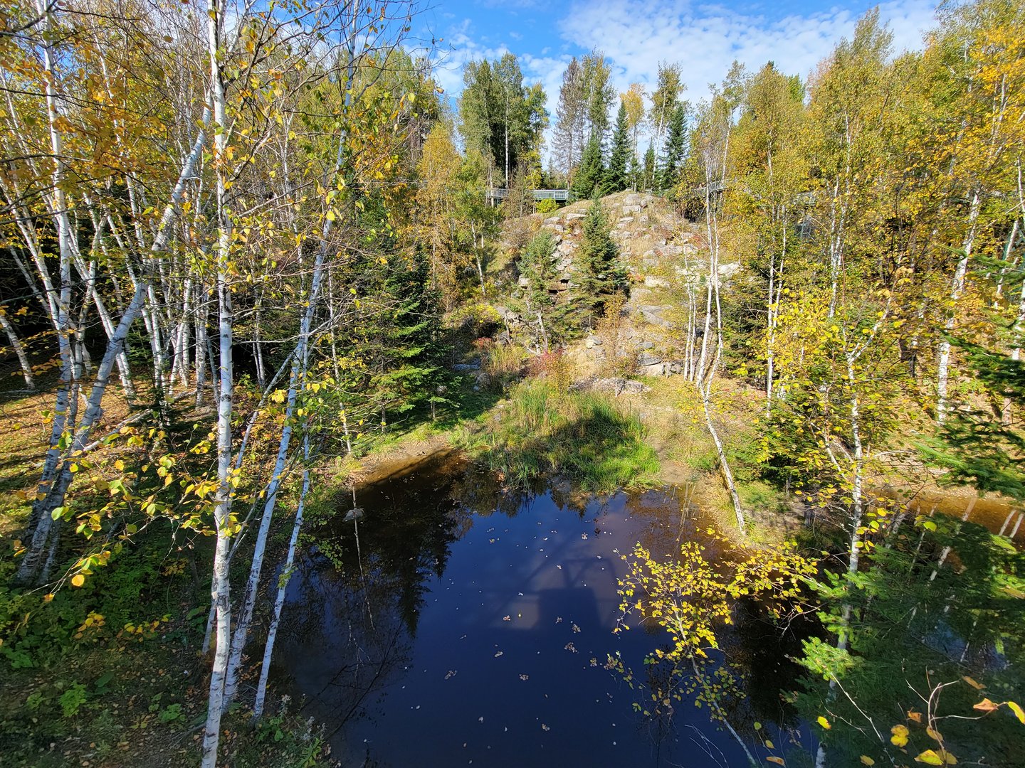 Zoo Sauvage 10/22 - Eastern Asia, Amur tiger exhibit