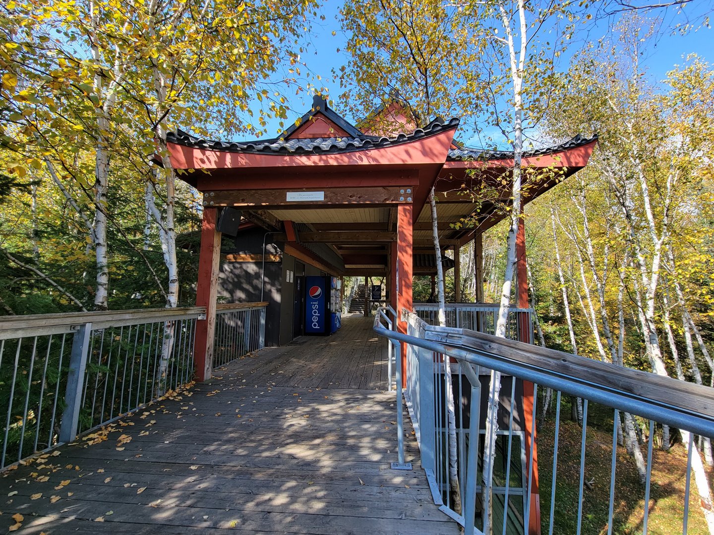 Zoo Sauvage 10/22 - Eastern Asia, Amur tiger exhibit