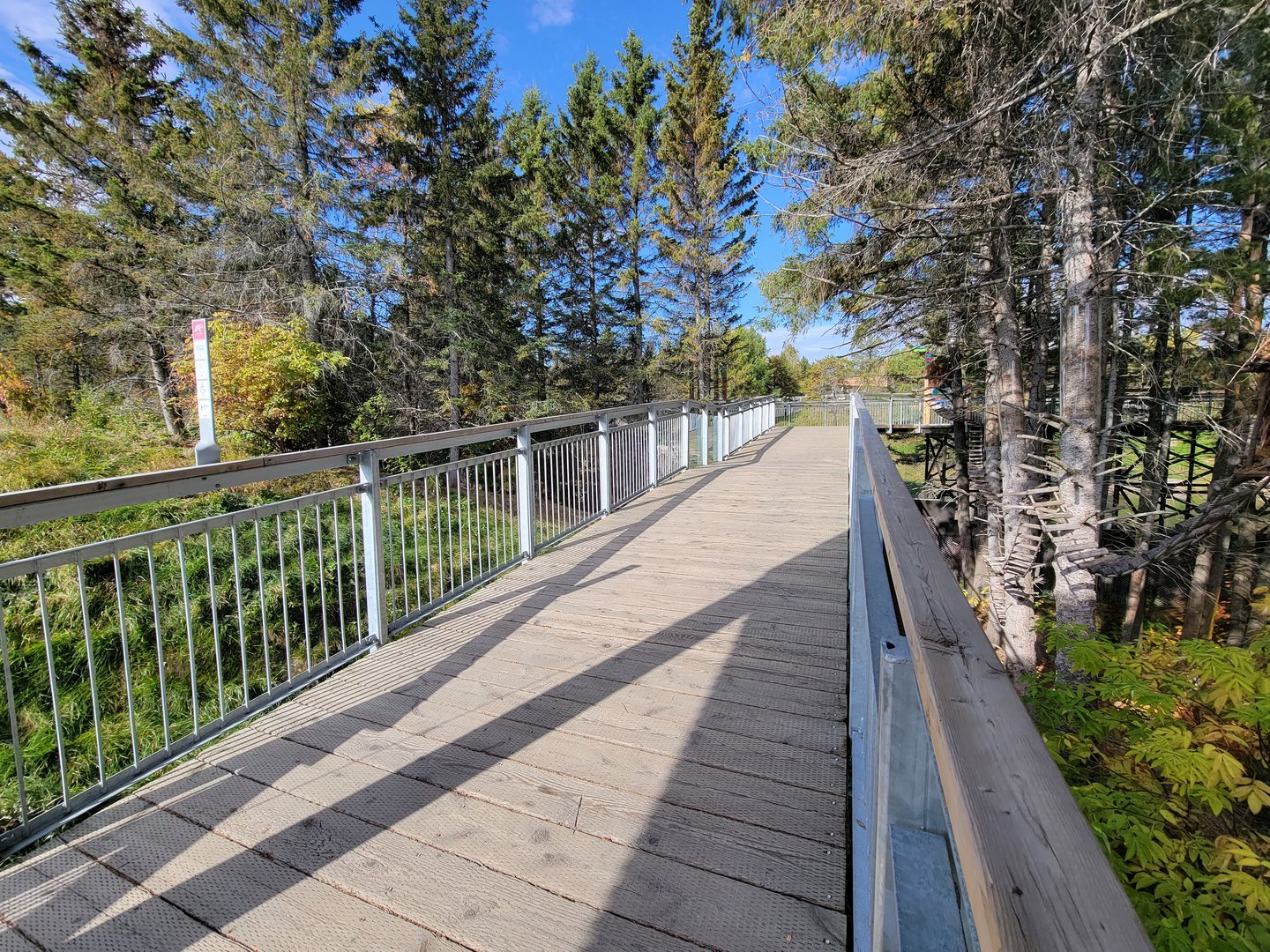 Zoo Sauvage 10/22 - Eastern Asia, boardwalk between pandas