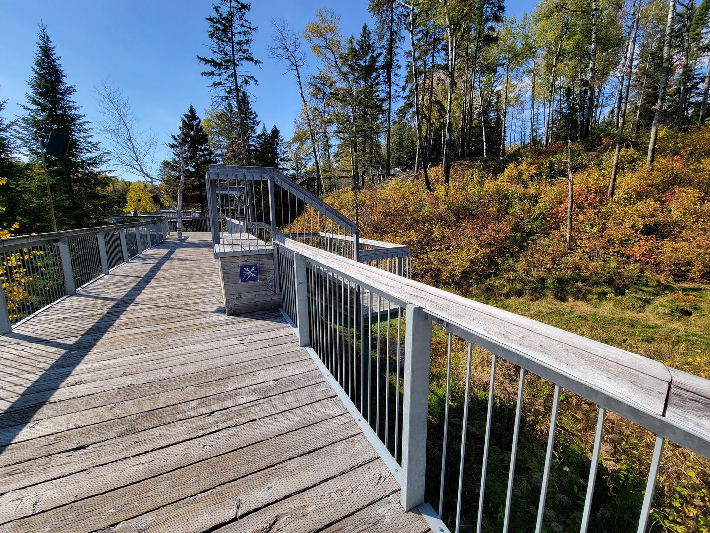 Zoo Sauvage 10/22 - Eastern Asia, Japanese macaque exhibit viewing area