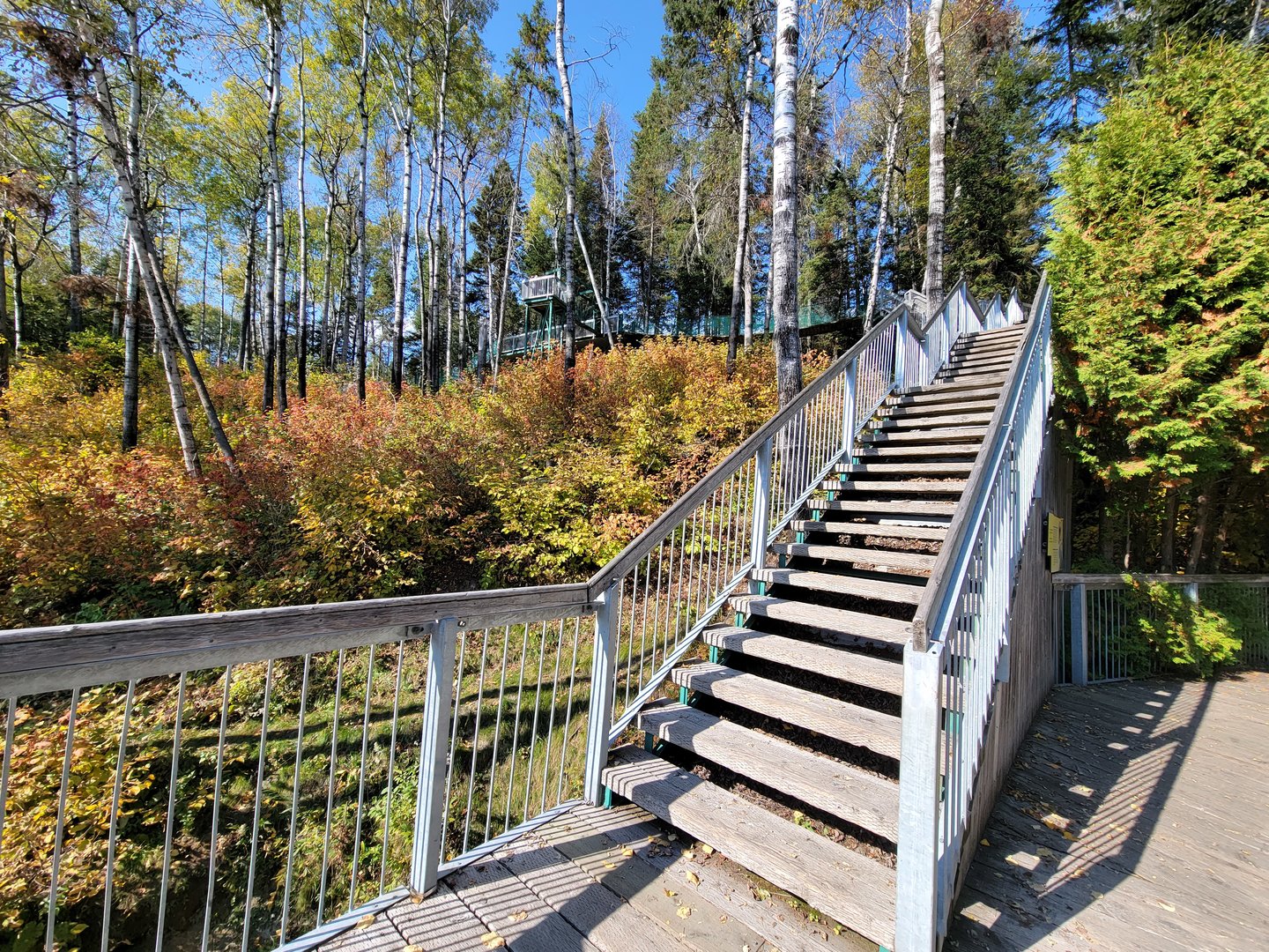 Zoo Sauvage 10/22 - Eastern Asia, Japanese macaque exhibit