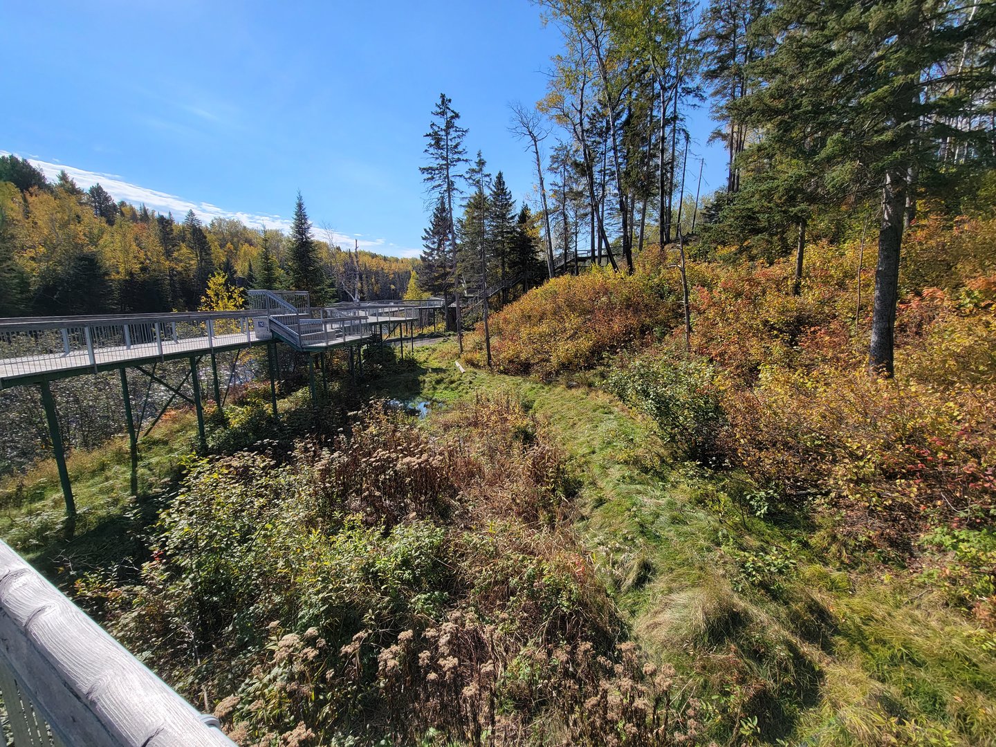 Zoo Sauvage 10/22 - Eastern Asia, Japanese macaque exhibit
