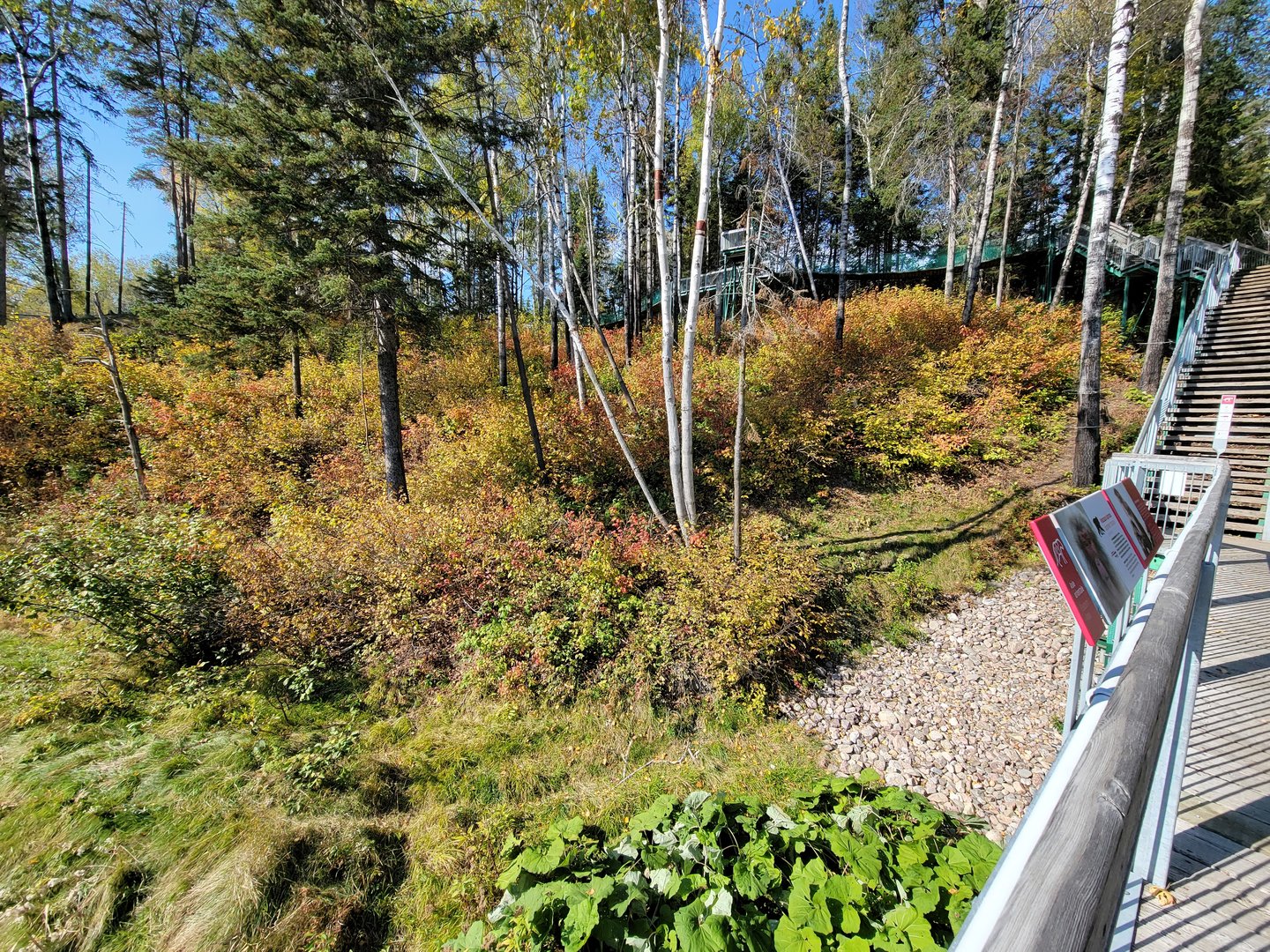 Zoo Sauvage 10/22 - Eastern Asia, Japanese macaque exhibit
