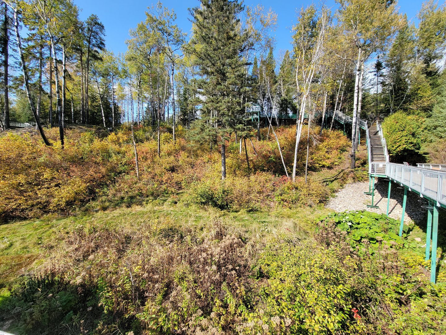 Zoo Sauvage 10/22 - Eastern Asia, Japanese macaque exhibit