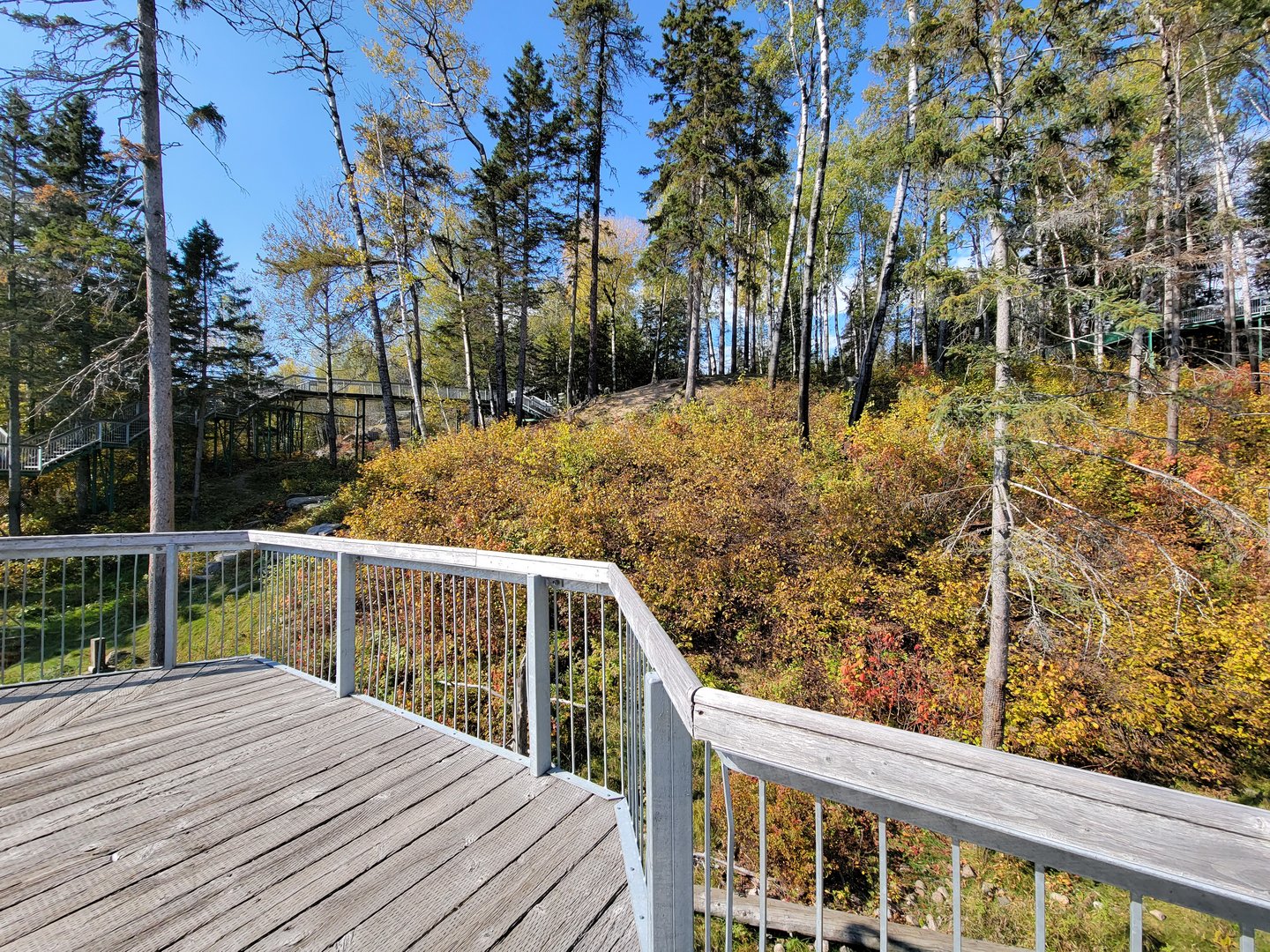 Zoo Sauvage 10/22 - Eastern Asia, Japanese macaque exhibit