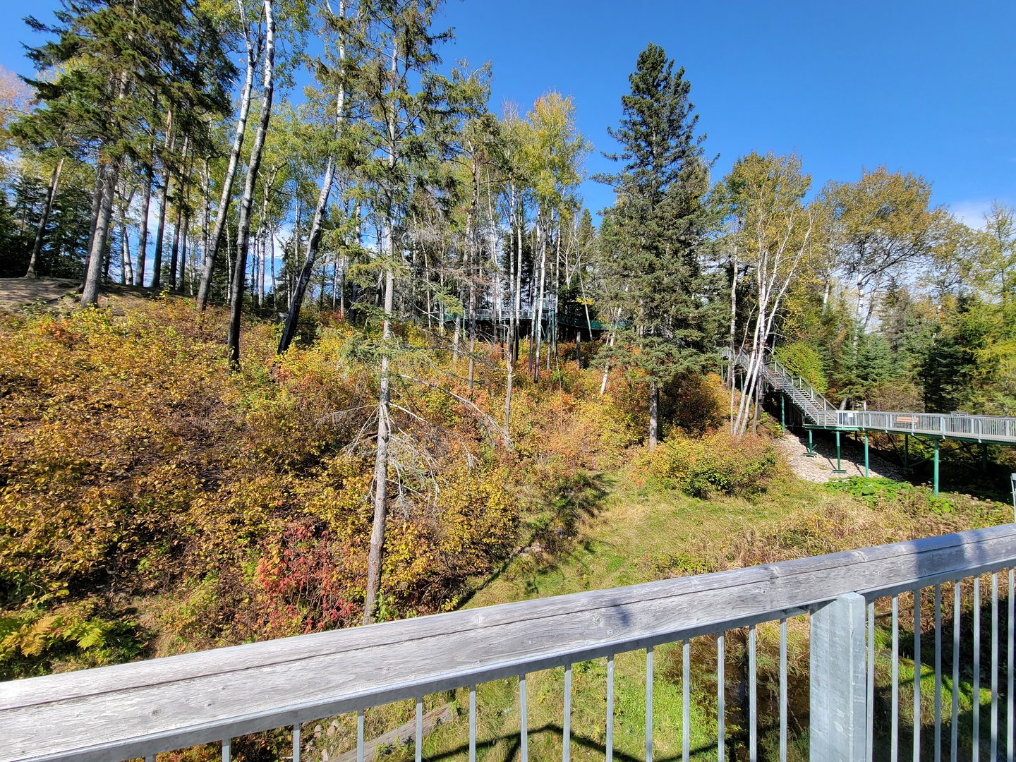 Zoo Sauvage 10/22 - Eastern Asia, Japanese macaque exhibit