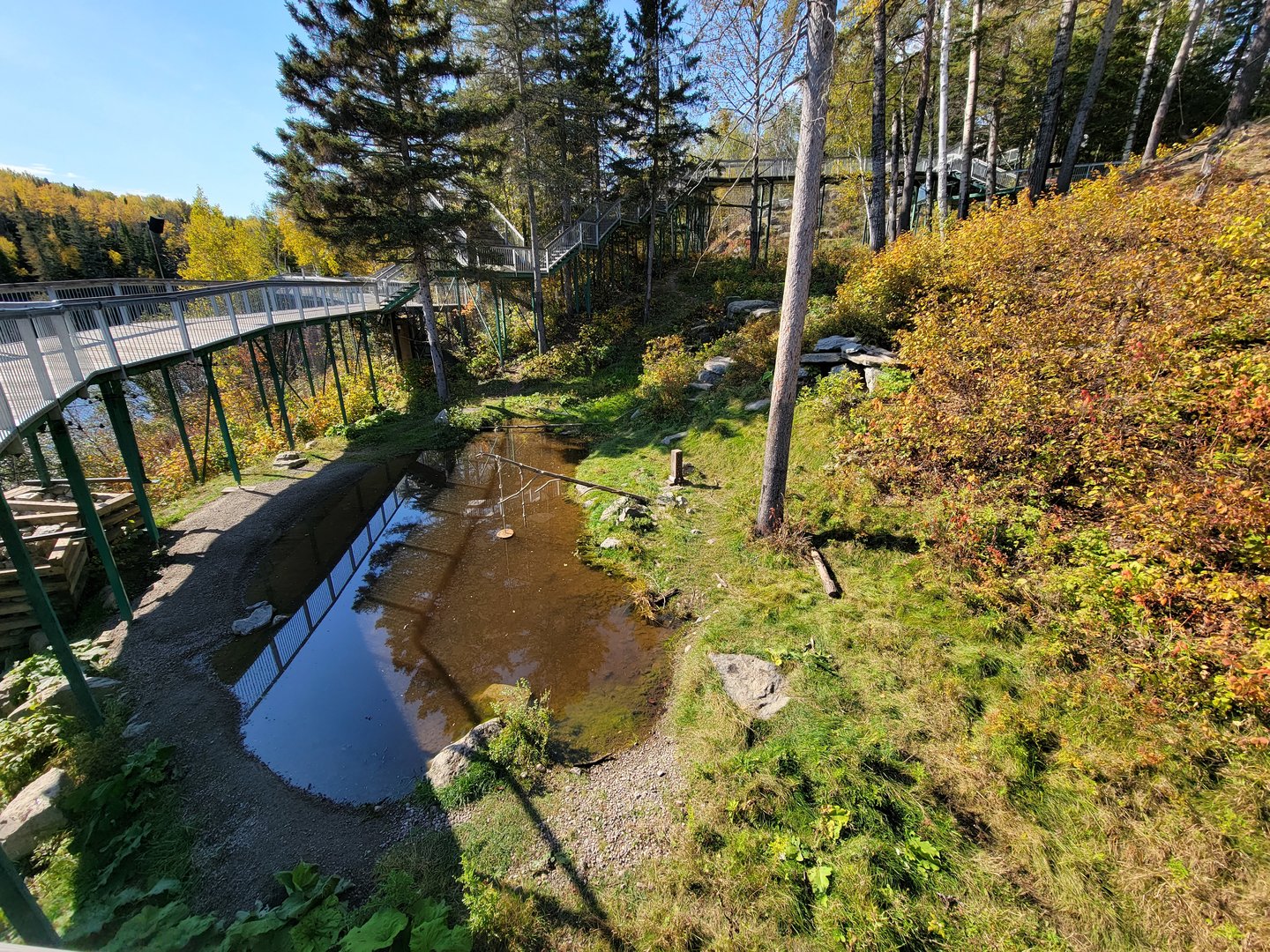 Zoo Sauvage 10/22 - Eastern Asia, Japanese macaque exhibit