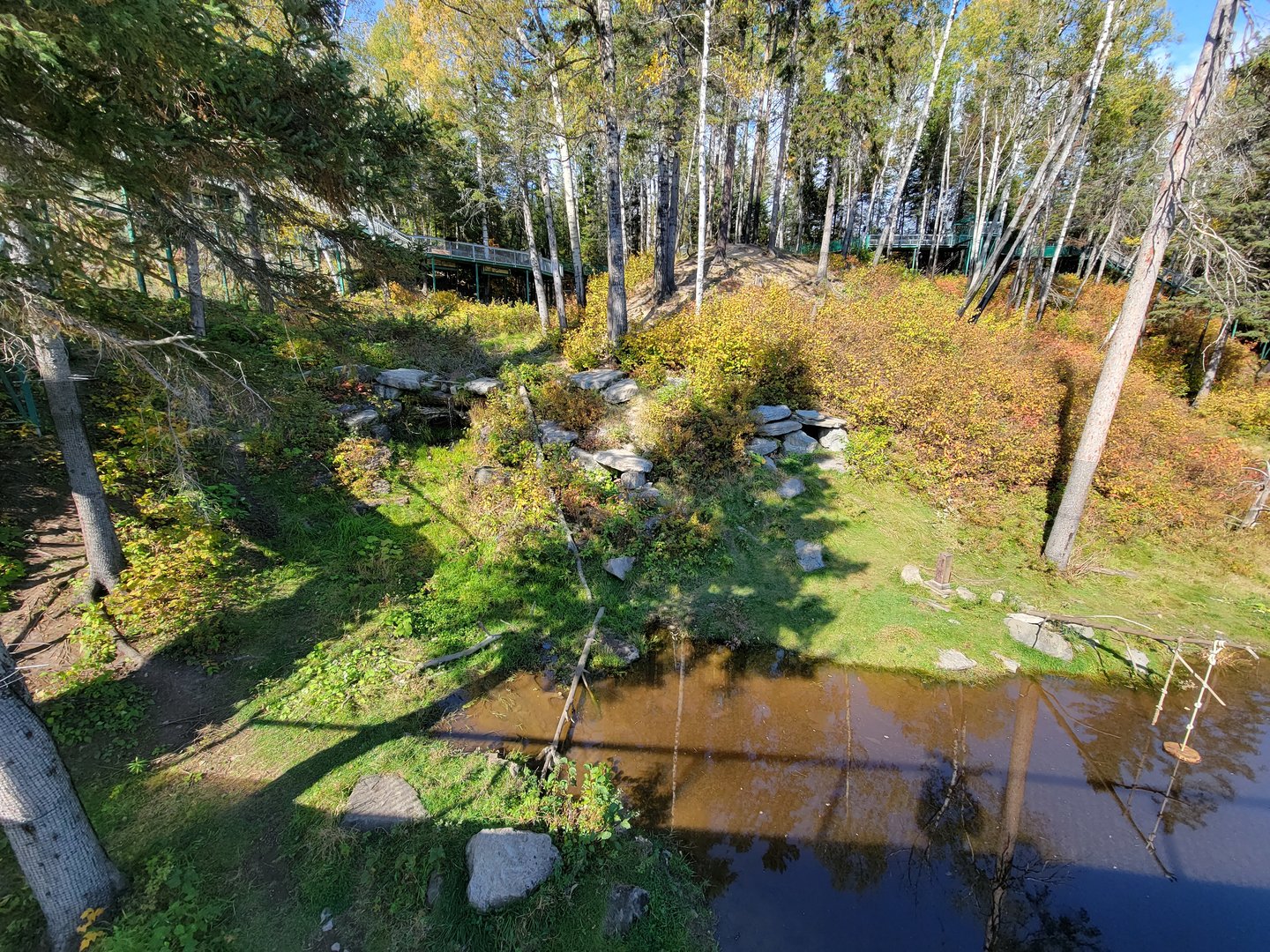 Zoo Sauvage 10/22 - Eastern Asia, Japanese macaque exhibit