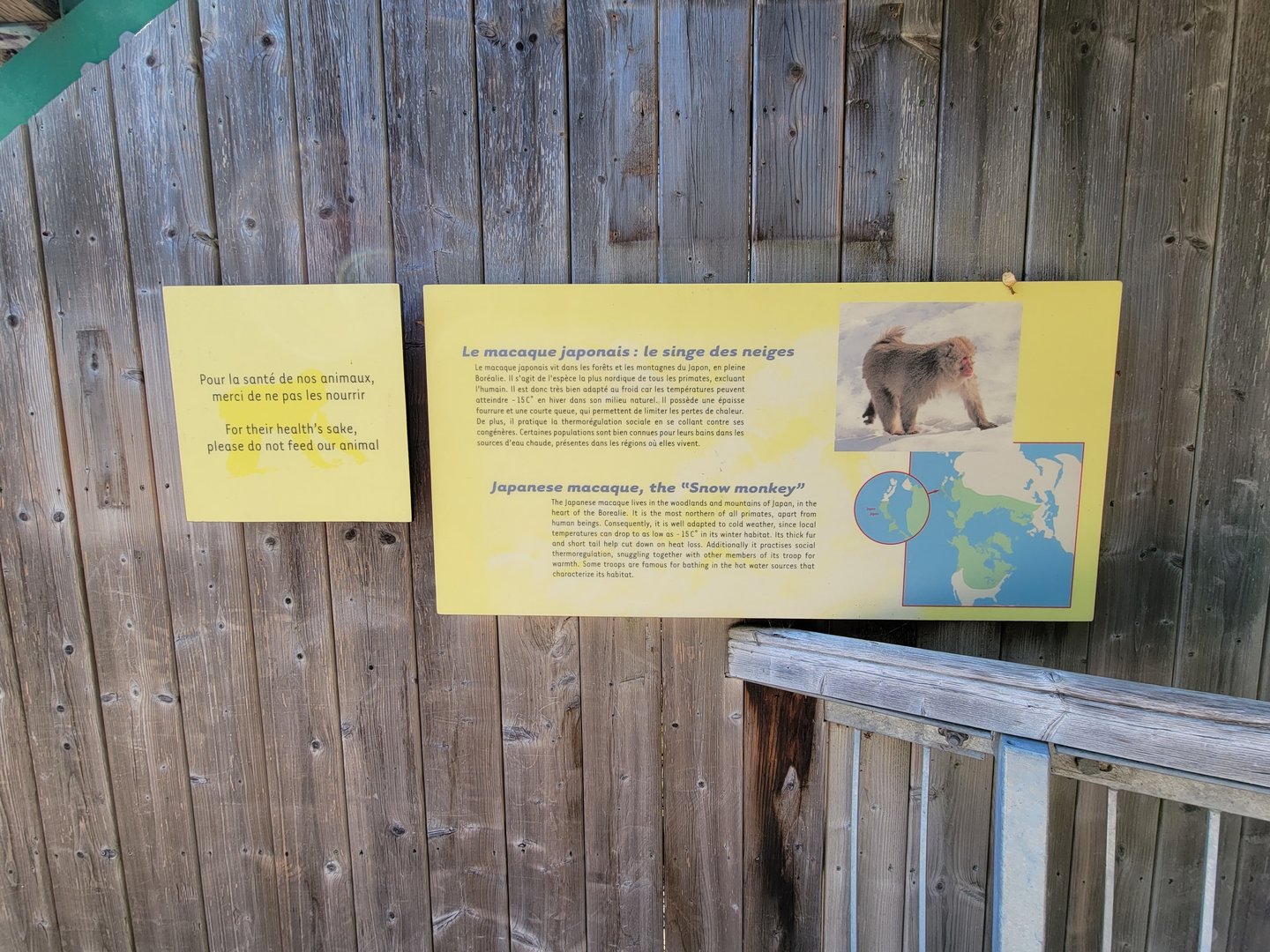 Zoo Sauvage 10/22 - Eastern Asia, Japanese macaque sign