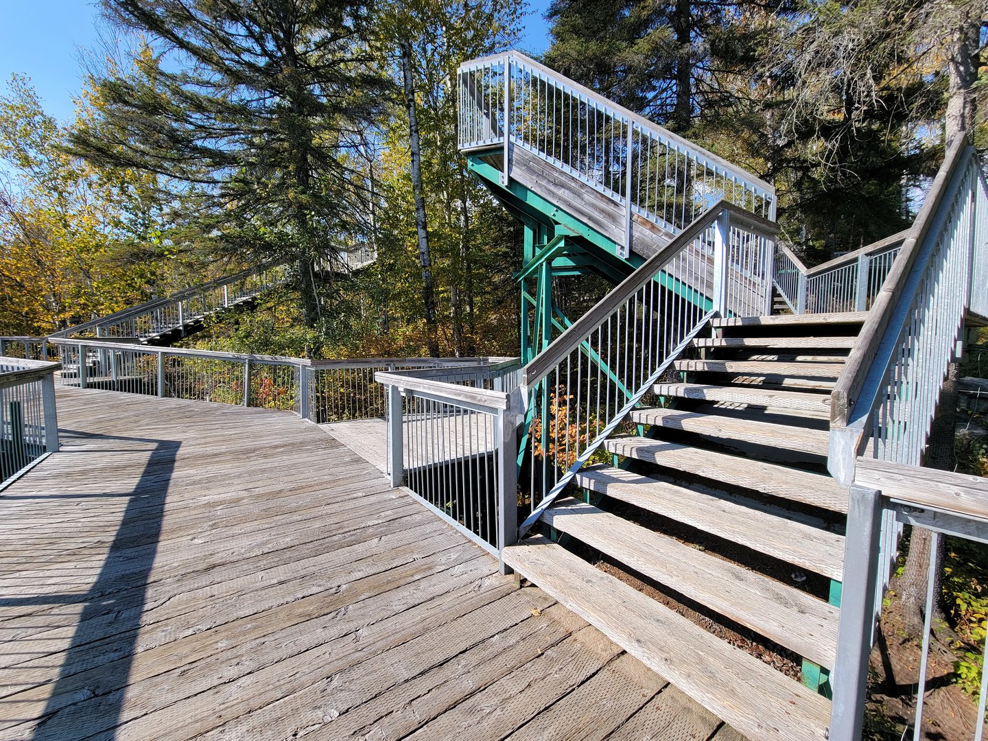 Zoo Sauvage 10/22 - Eastern Asia, lots of steps