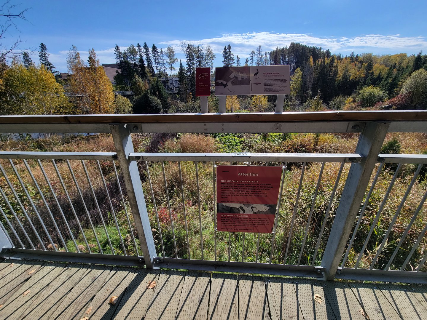 Zoo Sauvage 10/22 - Eastern Asia, red-crowned crane exhibit (not out due to avian flu)