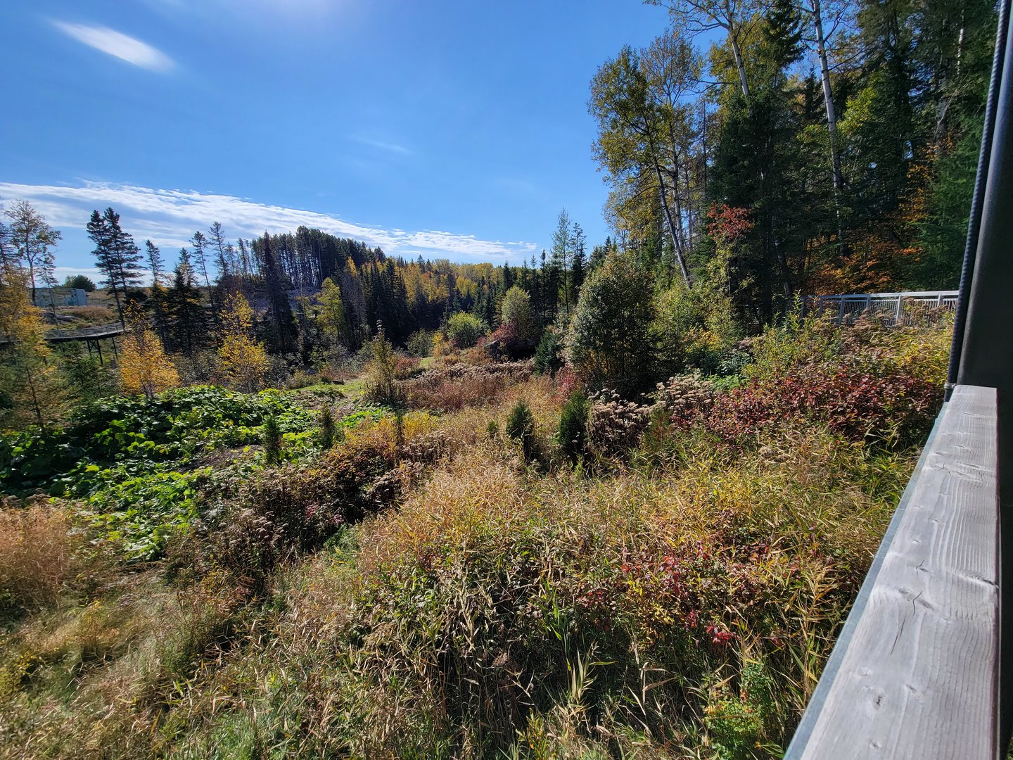 Zoo Sauvage 10/22 - Eastern Asia, red-crowned crane exhibit (not out due to avian flu)