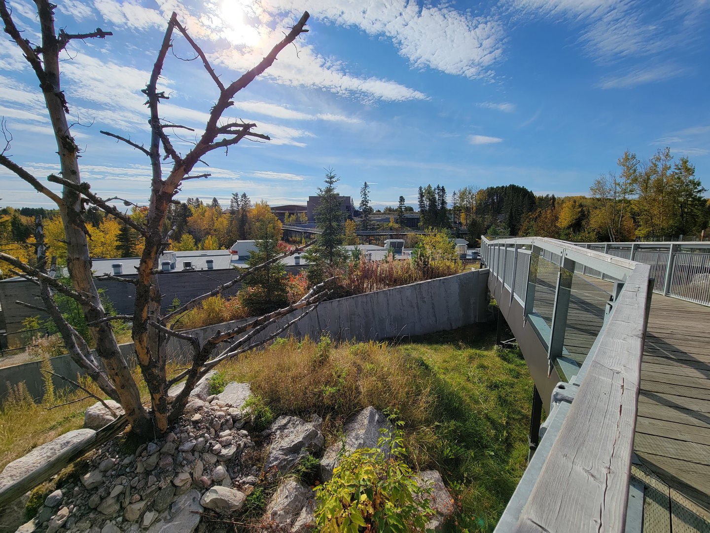 Zoo Sauvage 10/22 - Eastern Asia, red panda exhibit #1, view over roofs of buildings