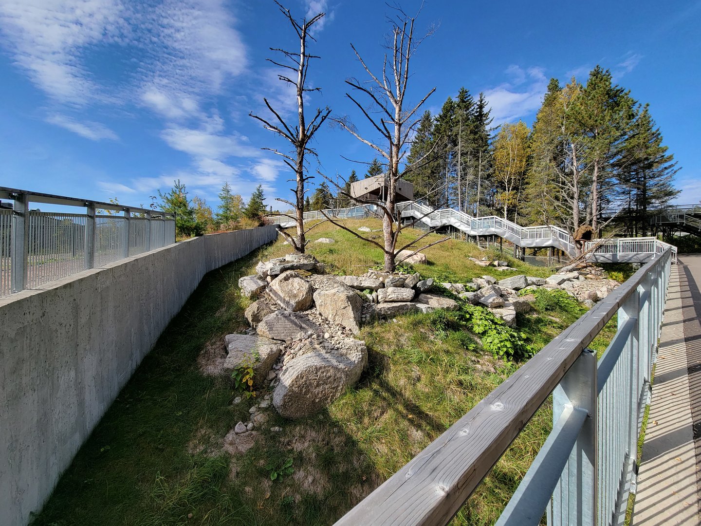 Zoo Sauvage 10/22 - Eastern Asia, red panda exhibit #1