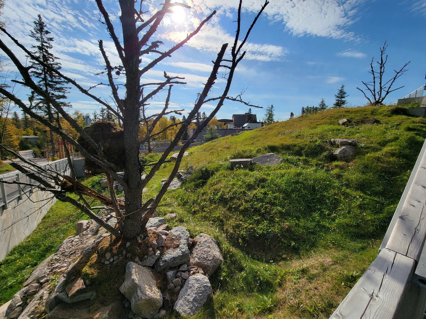 Zoo Sauvage 10/22 - Eastern Asia, red panda exhibit #1