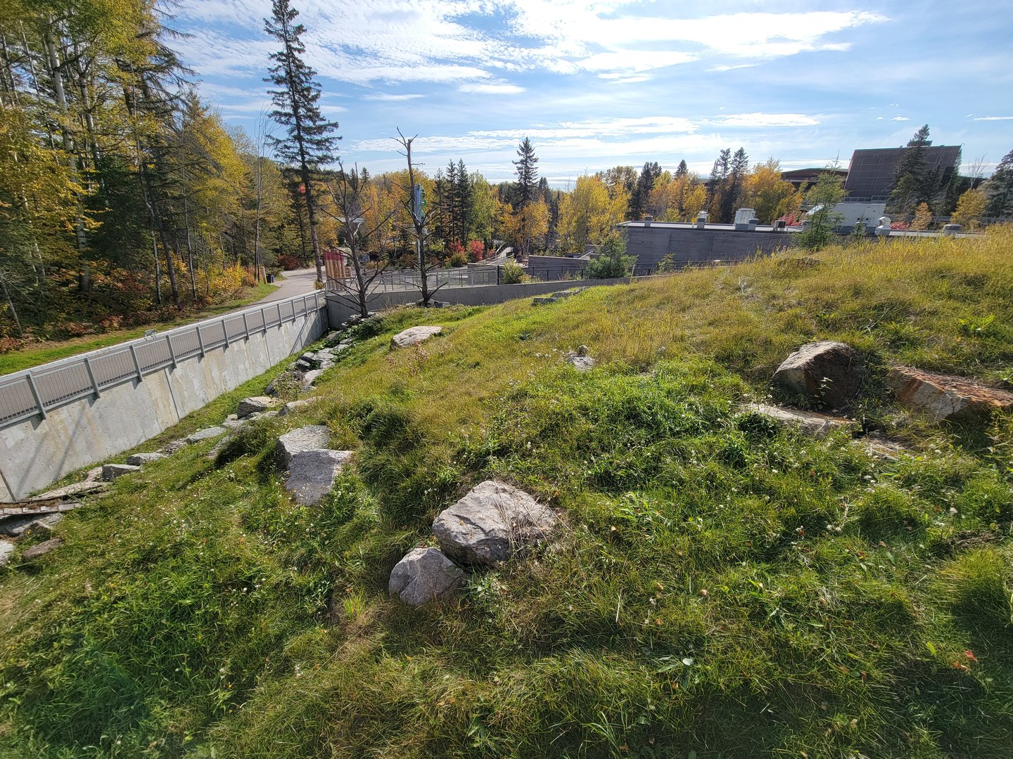 Zoo Sauvage 10/22 - Eastern Asia, red panda exhibit #1