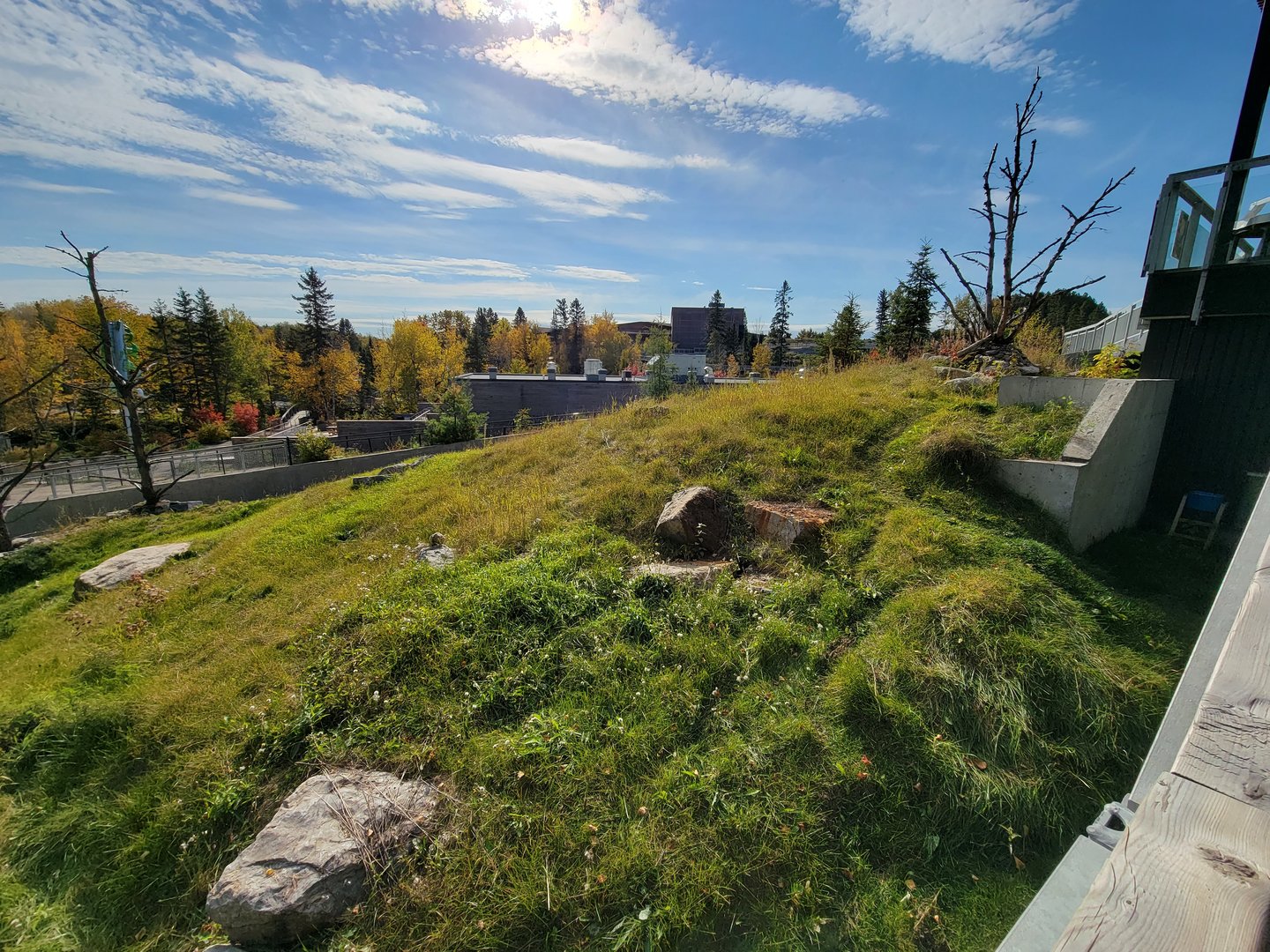 Zoo Sauvage 10/22 - Eastern Asia, red panda exhibit #1
