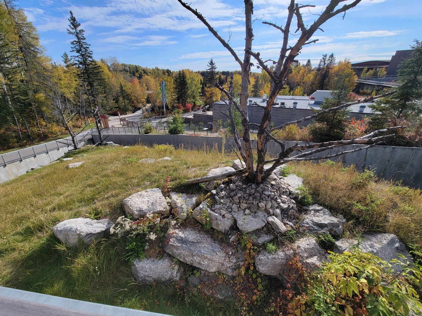 Zoo Sauvage 10/22 - Eastern Asia, red panda exhibit #1