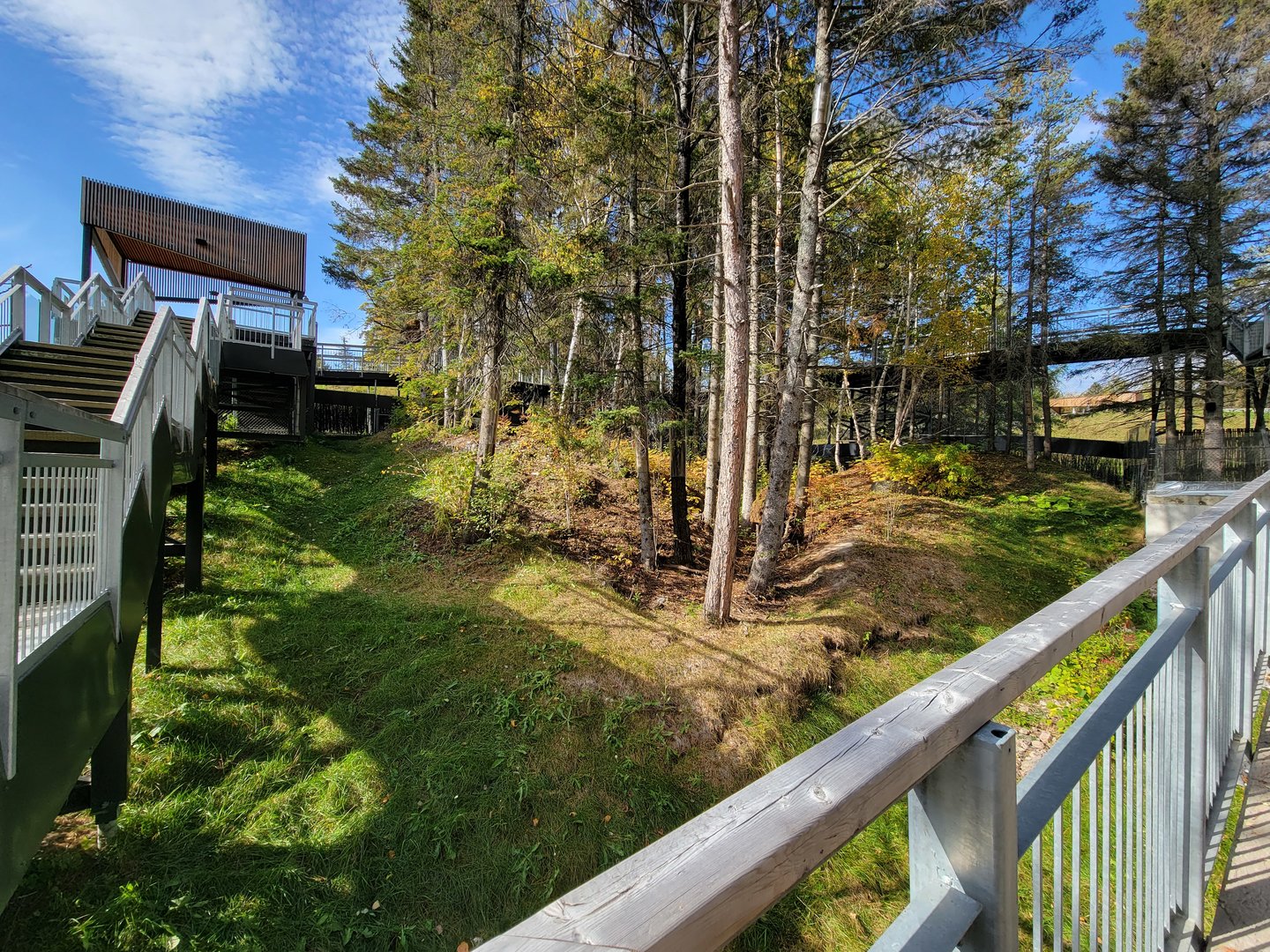 Zoo Sauvage 10/22 - Eastern Asia, red panda exhibit #2