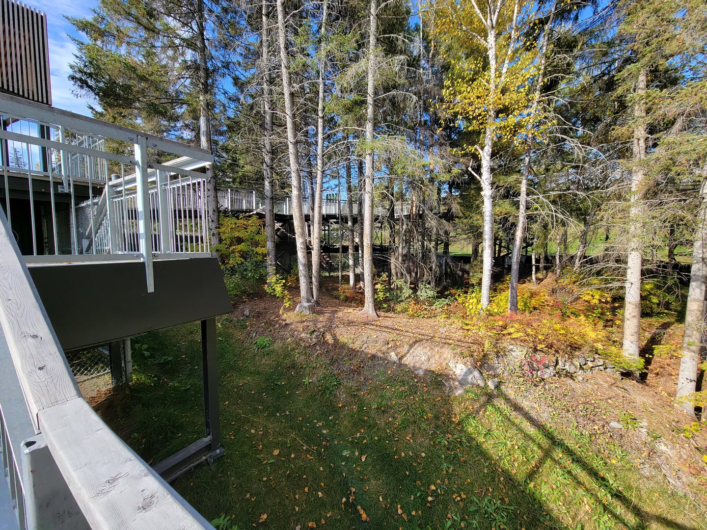 Zoo Sauvage 10/22 - Eastern Asia, red panda exhibit #2