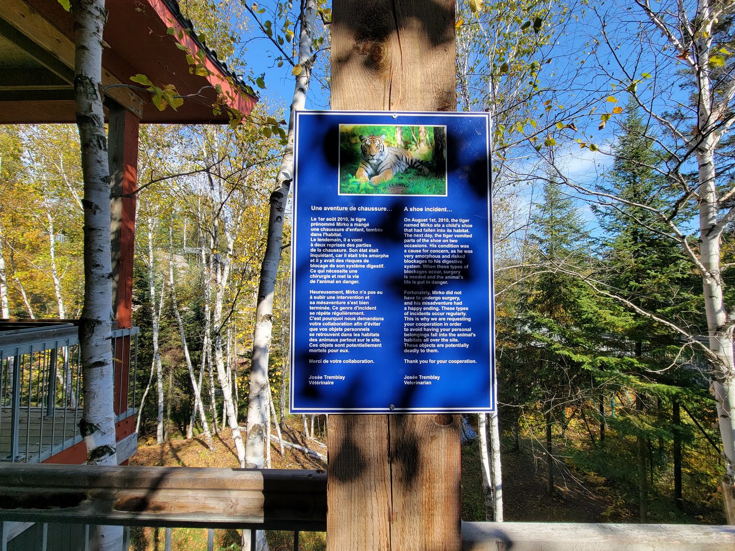 Zoo Sauvage 10/22 - Eastern Asia, sign about a tiger getting sick from a dropped shoe
