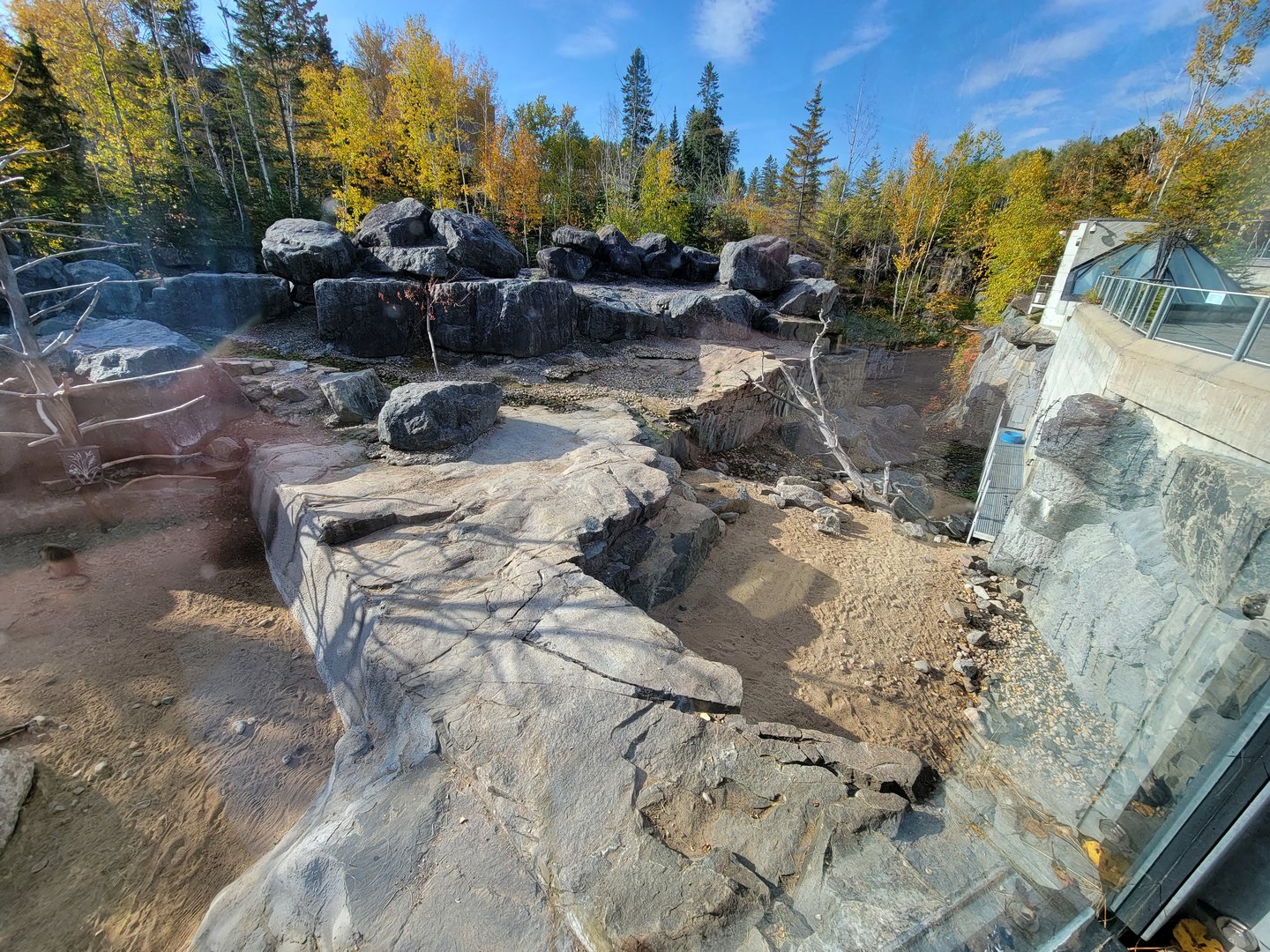 Zoo Sauvage 10/22 -  Geladas