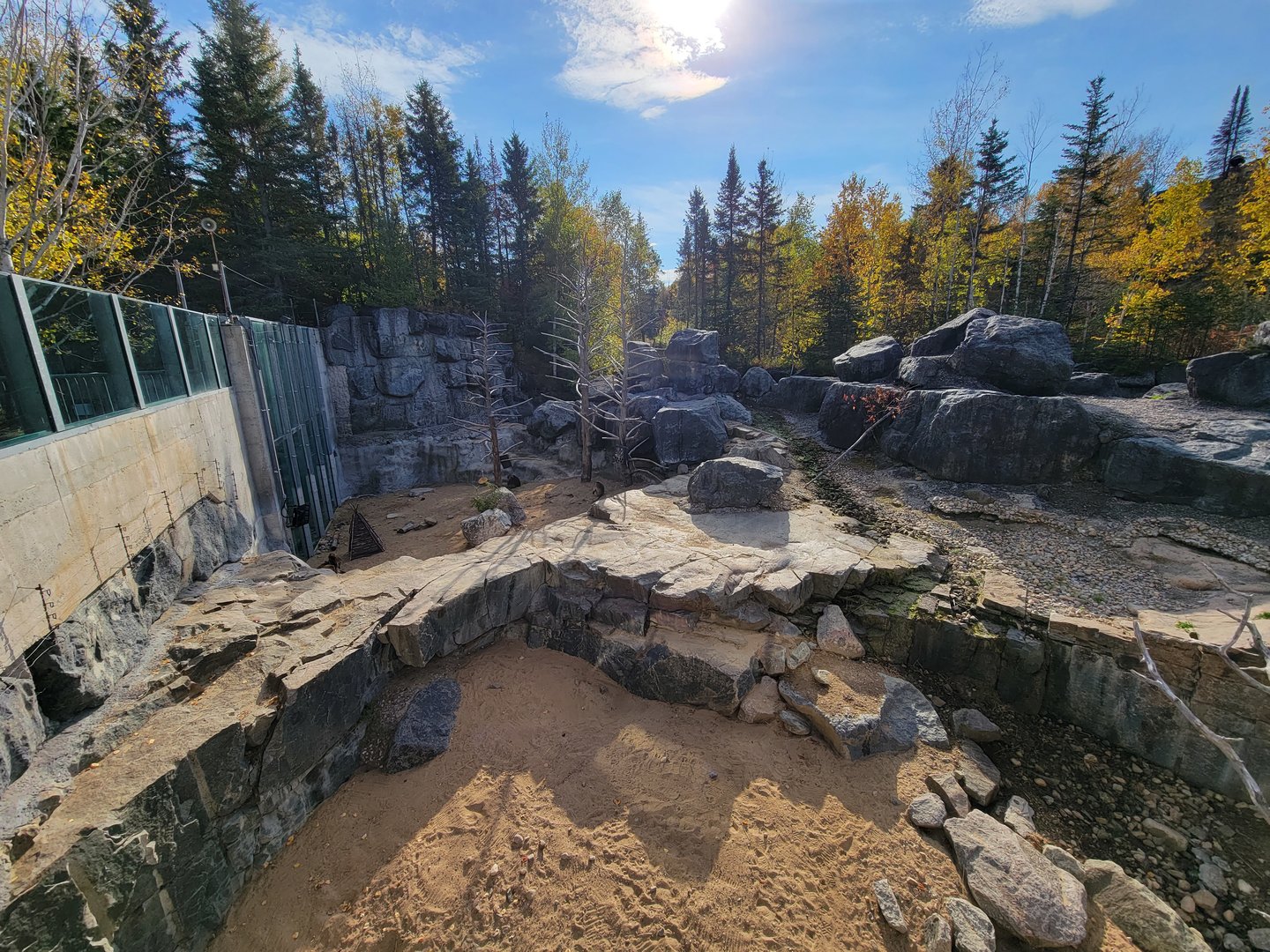 Zoo Sauvage 10/22 -  Geladas