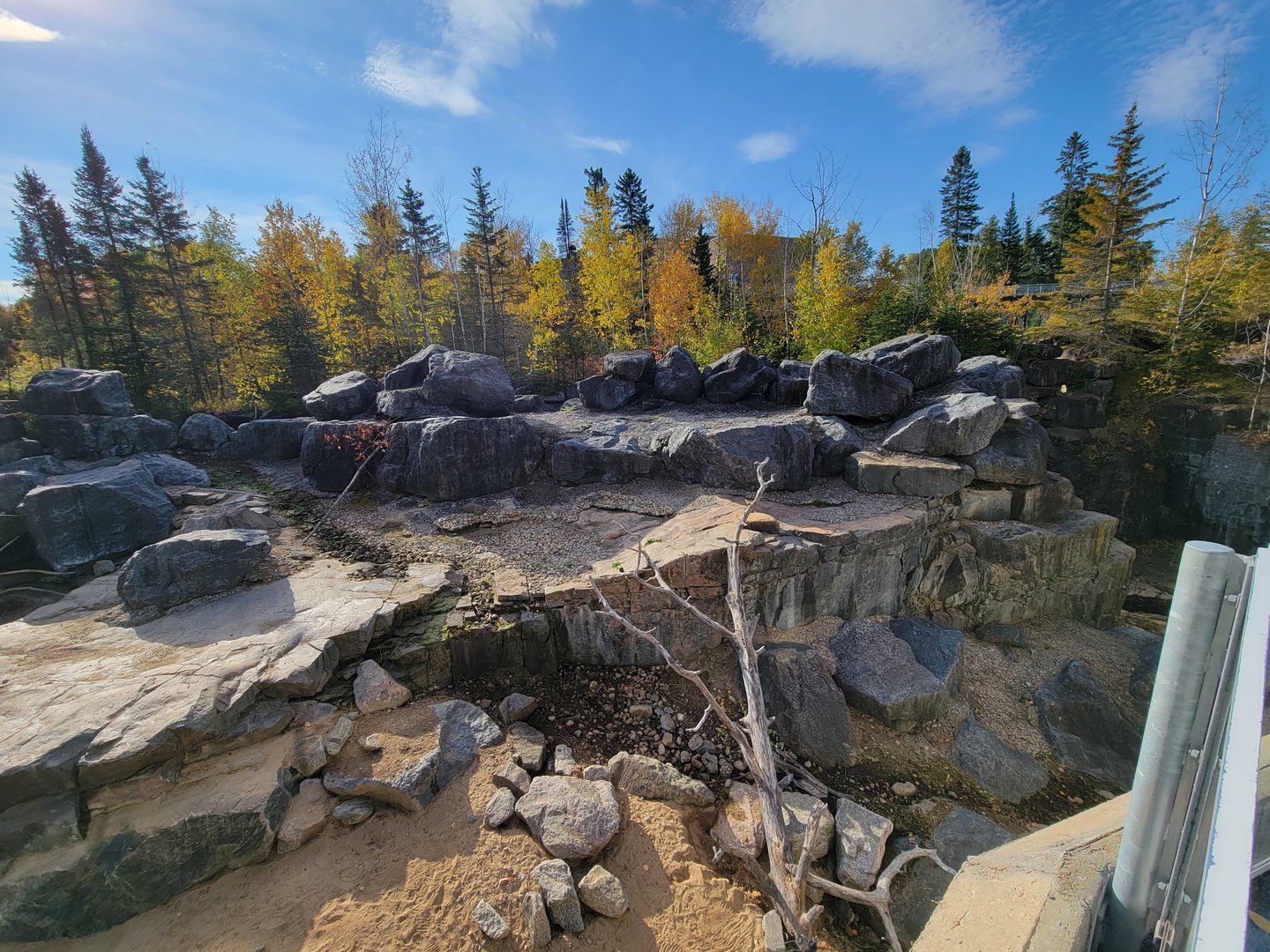 Zoo Sauvage 10/22 -  Geladas