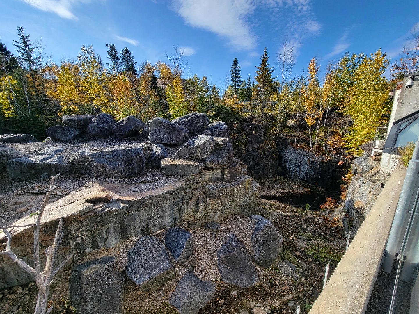 Zoo Sauvage 10/22 -  Geladas