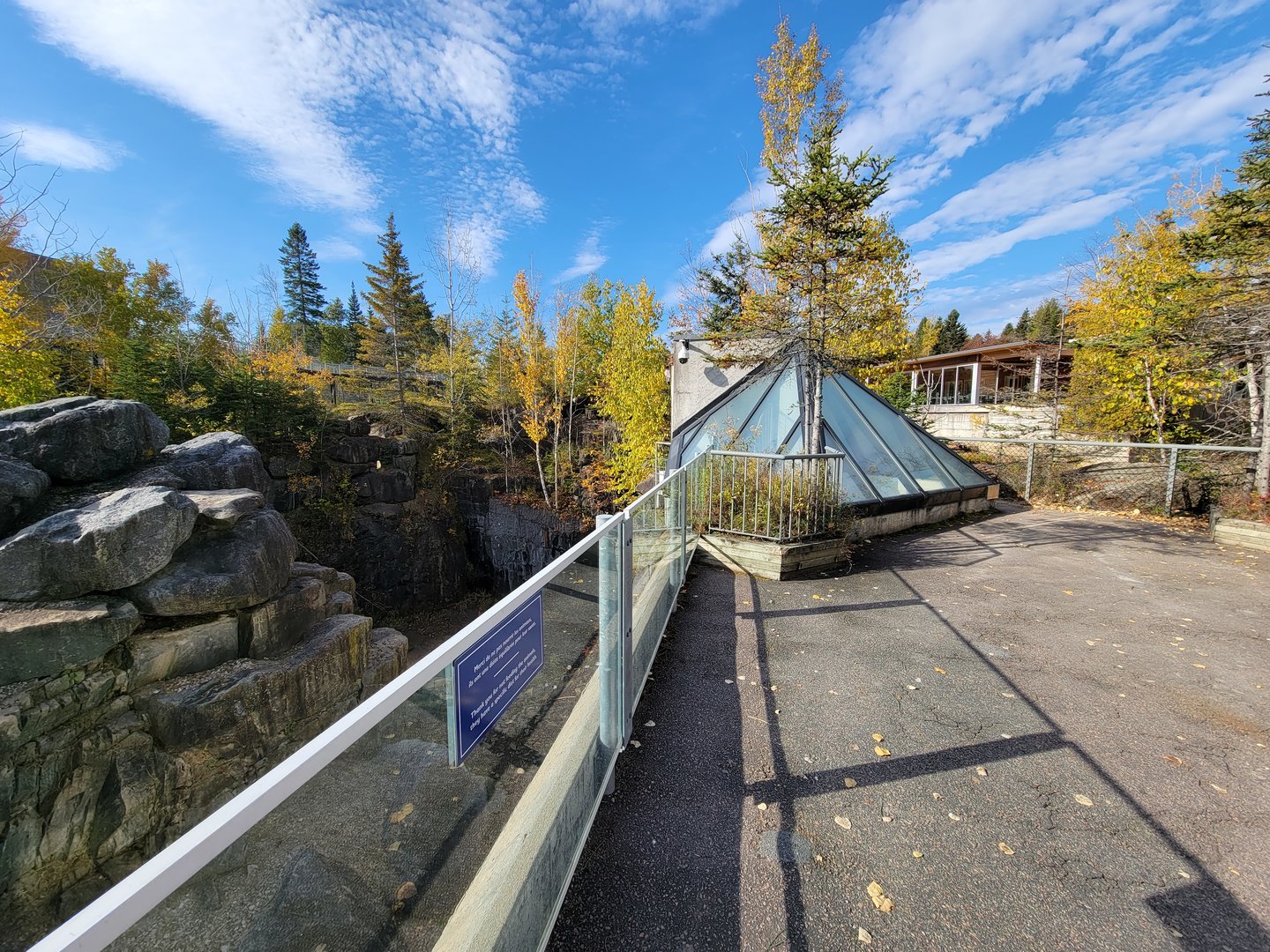 Zoo Sauvage 10/22 -  Geladas