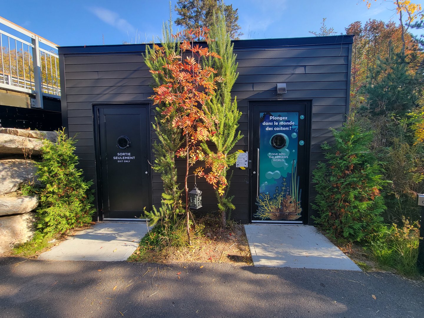 Zoo Sauvage 10/22 -  Laurentian Forest, beaver building