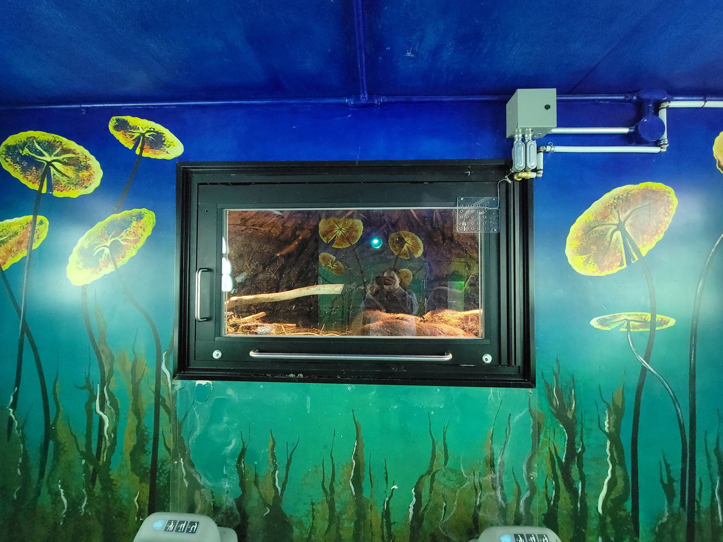 Zoo Sauvage 10/22 -  Laurentian Forest, beaver building