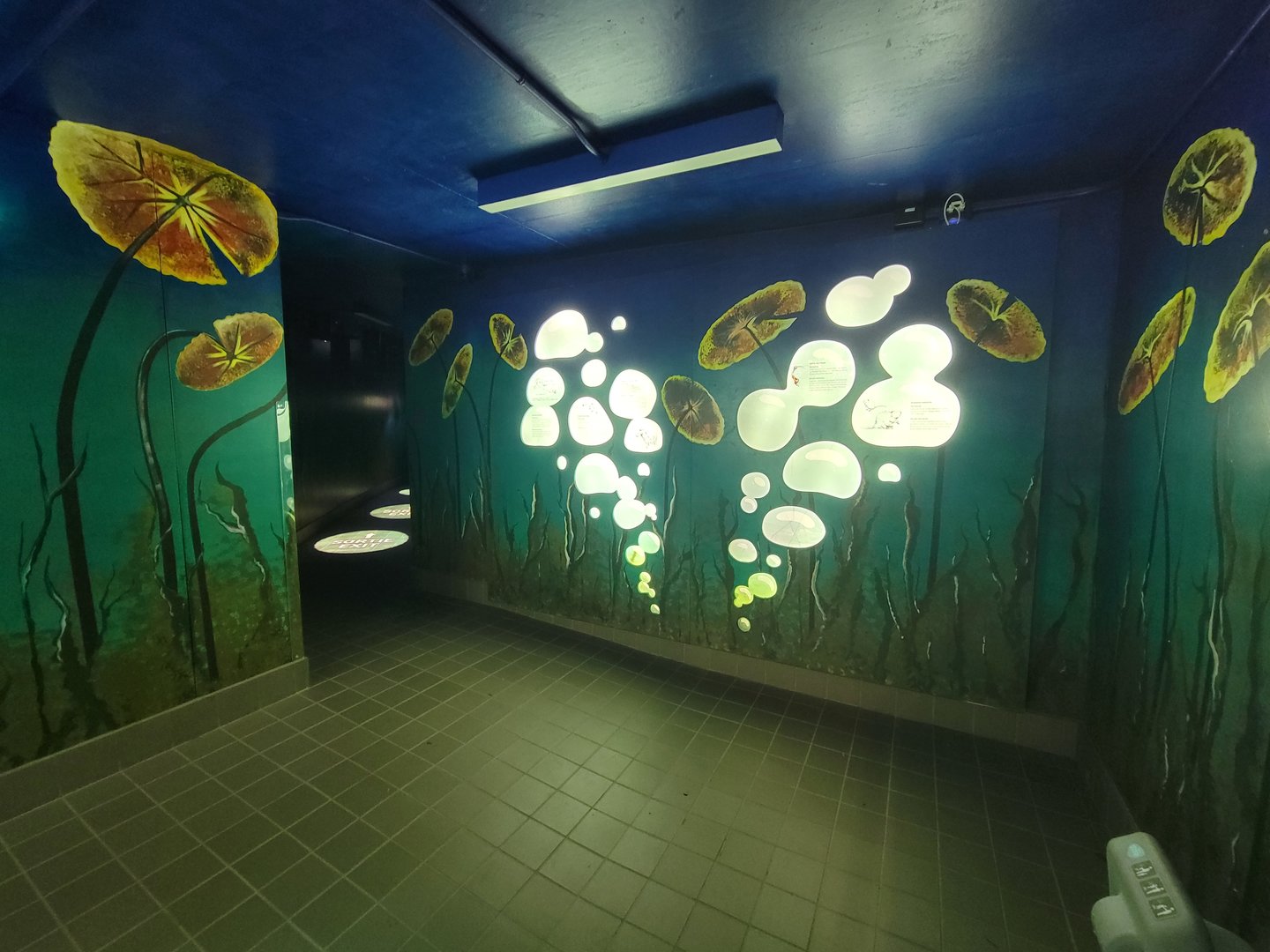 Zoo Sauvage 10/22 -  Laurentian Forest, beaver building