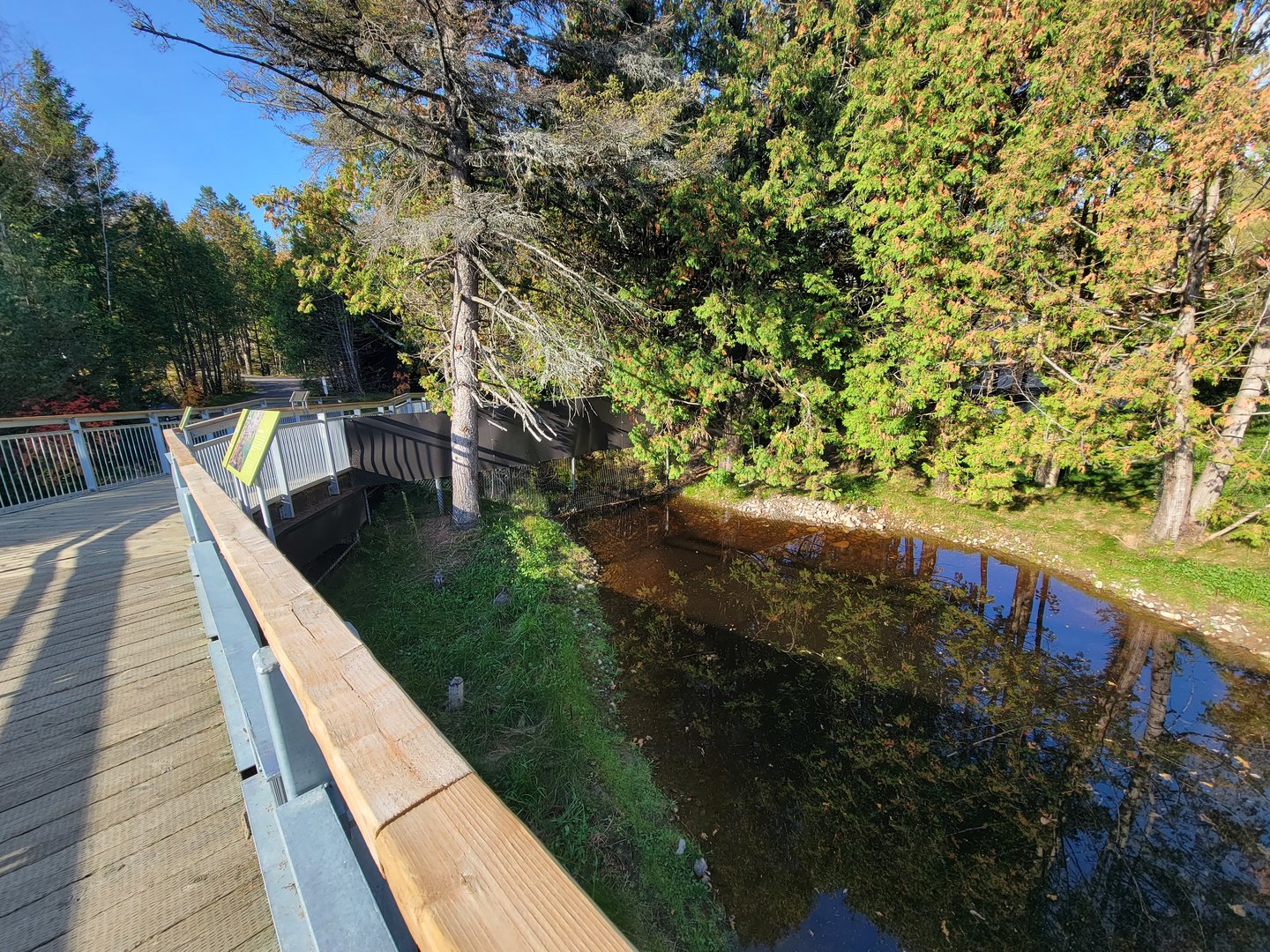 Zoo Sauvage 10/22 -  Laurentian Forest, beaver / striped skunk / snowshoe hare / woodchuck exhibit