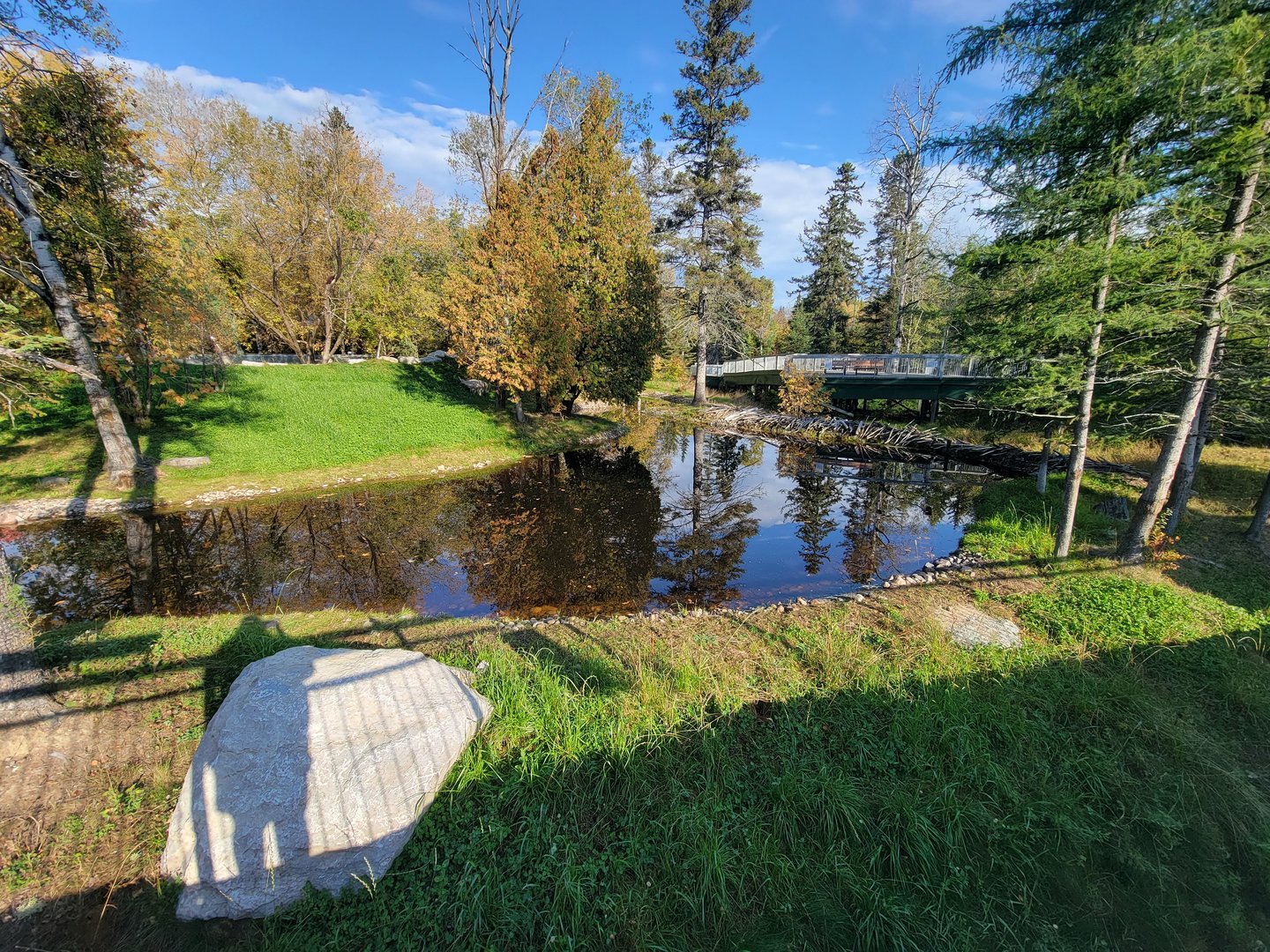 Zoo Sauvage 10/22 -  Laurentian Forest, beaver / striped skunk / snowshoe hare / woodchuck exhibit