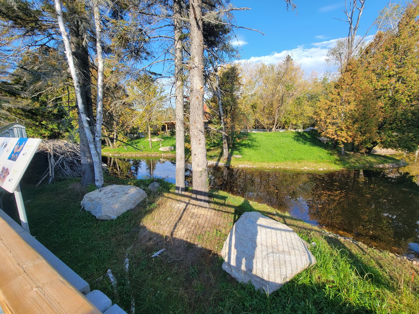 Zoo Sauvage 10/22 -  Laurentian Forest, beaver / striped skunk / snowshoe hare / woodchuck exhibit