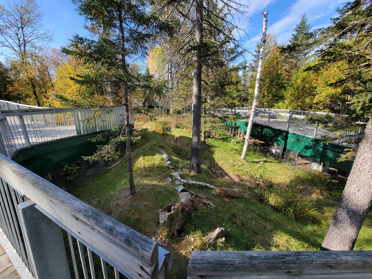 Zoo Sauvage 10/22 -  Laurentian Forest, beaver / striped skunk / snowshoe hare / woodchuck exhibit