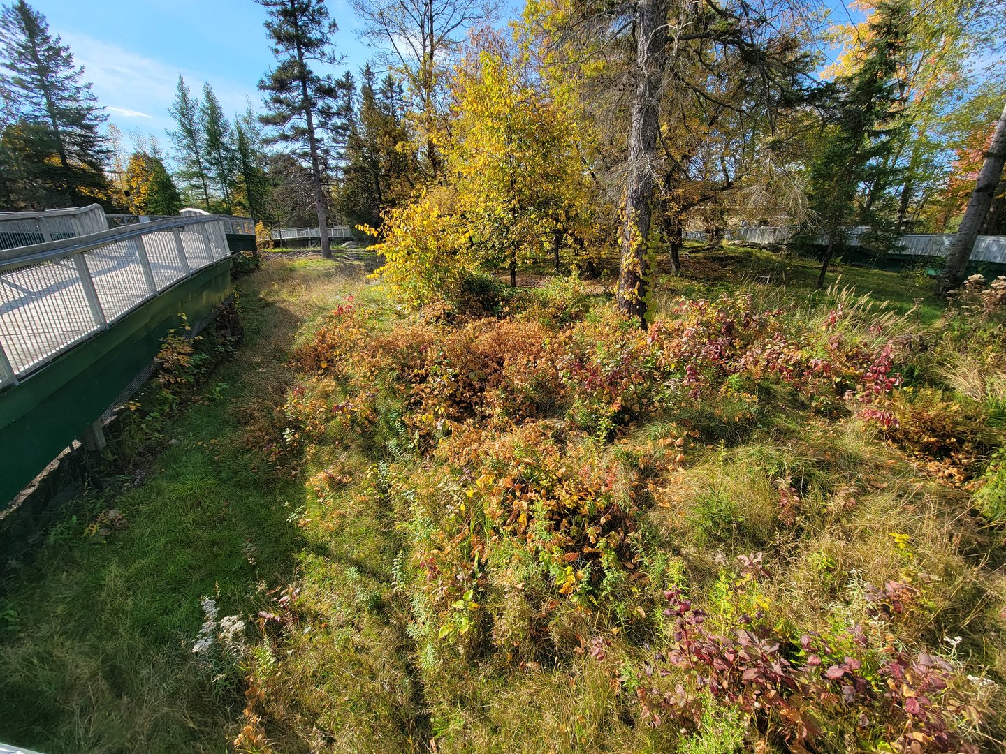 Zoo Sauvage 10/22 -  Laurentian Forest, beaver / striped skunk / snowshoe hare / woodchuck exhibit