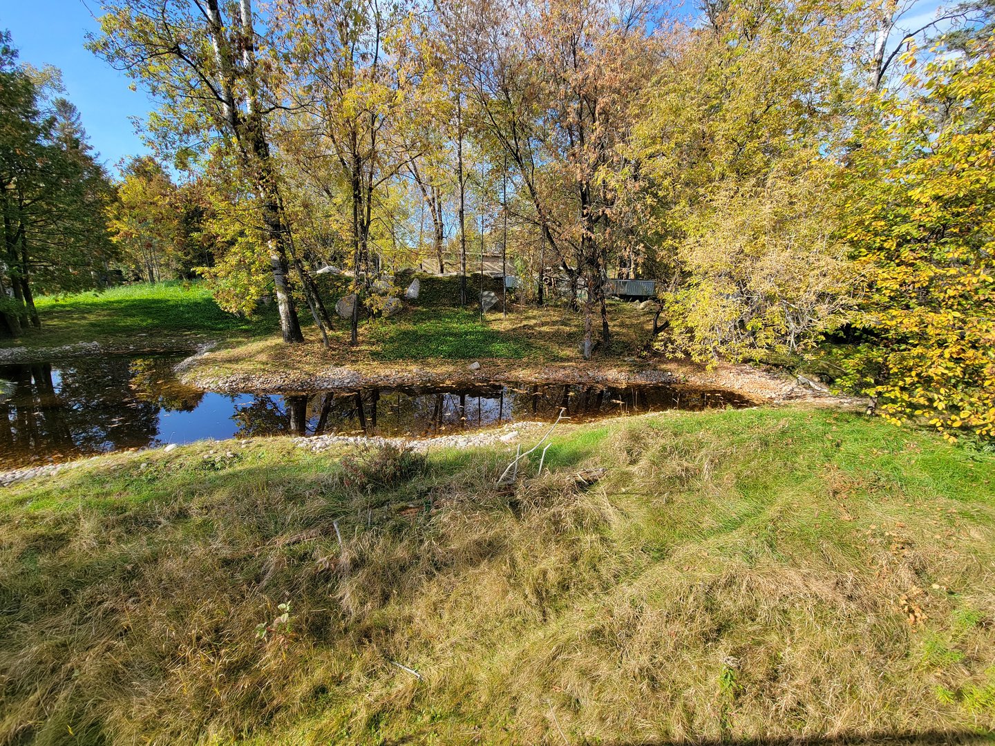 Zoo Sauvage 10/22 -  Laurentian Forest, beaver / striped skunk / snowshoe hare / woodchuck exhibit