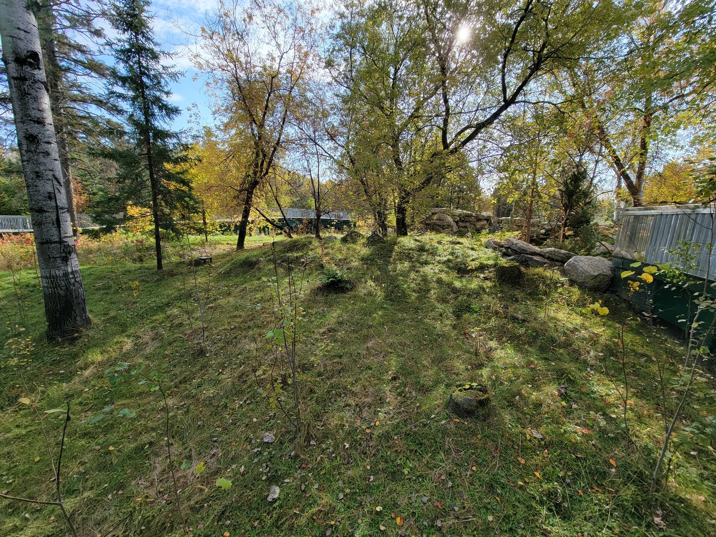 Zoo Sauvage 10/22 -  Laurentian Forest, beaver / striped skunk / snowshoe hare / woodchuck exhibit