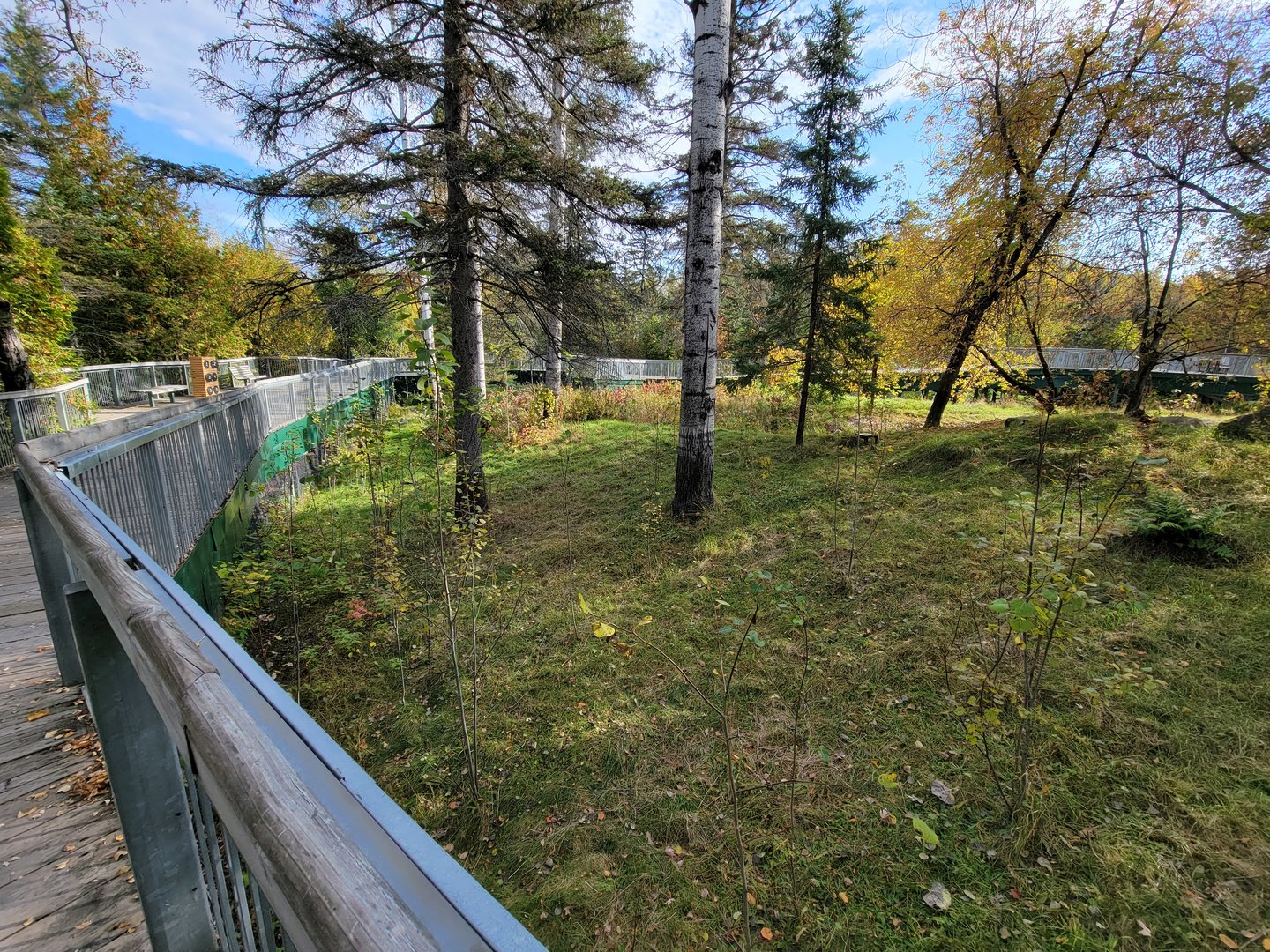 Zoo Sauvage 10/22 -  Laurentian Forest, beaver / striped skunk / snowshoe hare / woodchuck exhibit