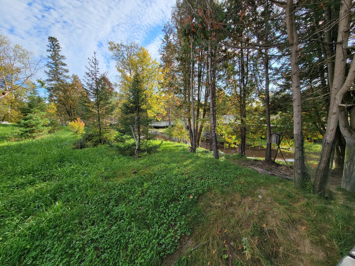 Zoo Sauvage 10/22 -  Laurentian Forest, beaver / striped skunk / snowshoe hare / woodchuck exhibit