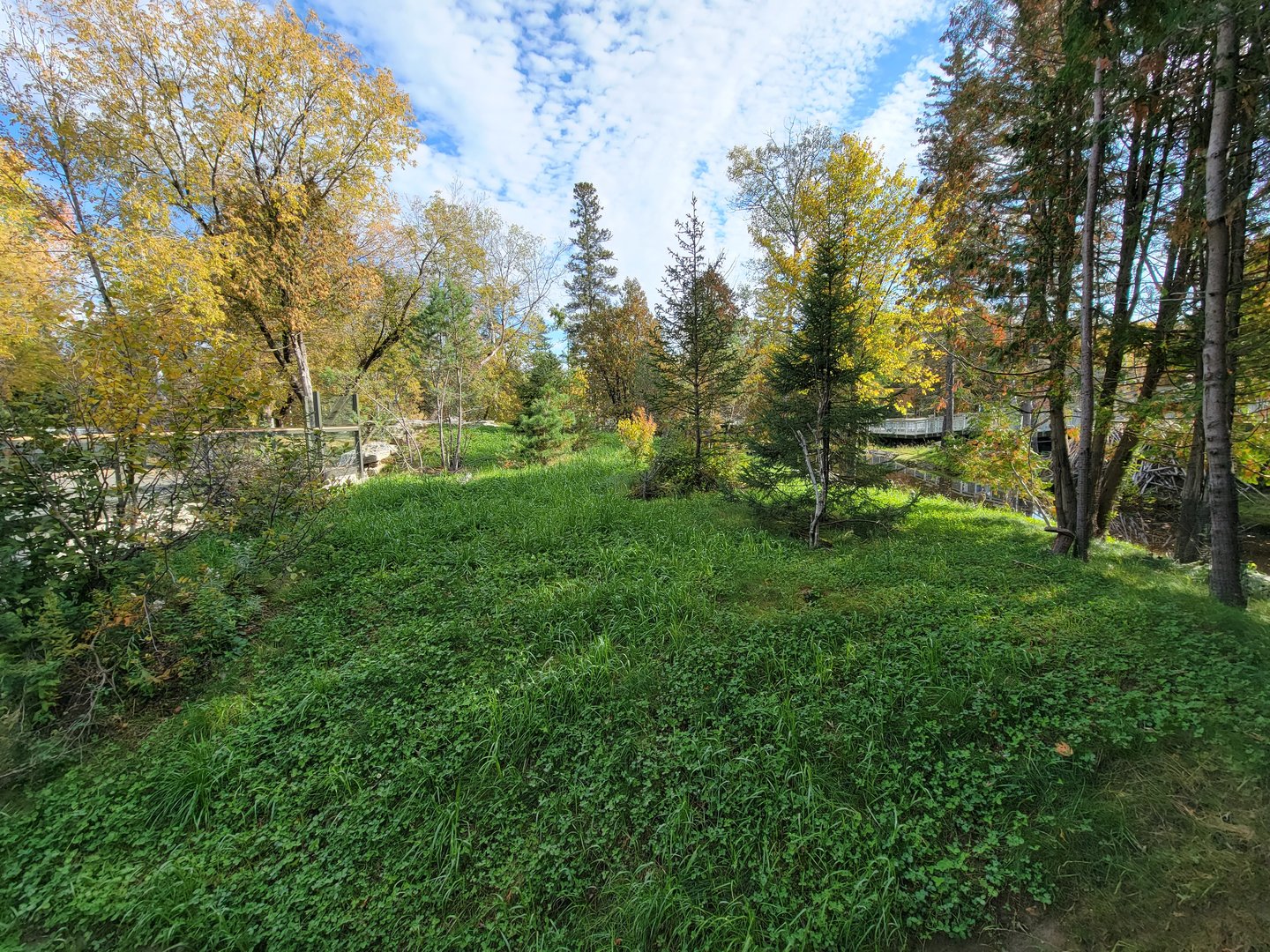 Zoo Sauvage 10/22 -  Laurentian Forest, beaver / striped skunk / snowshoe hare / woodchuck exhibit